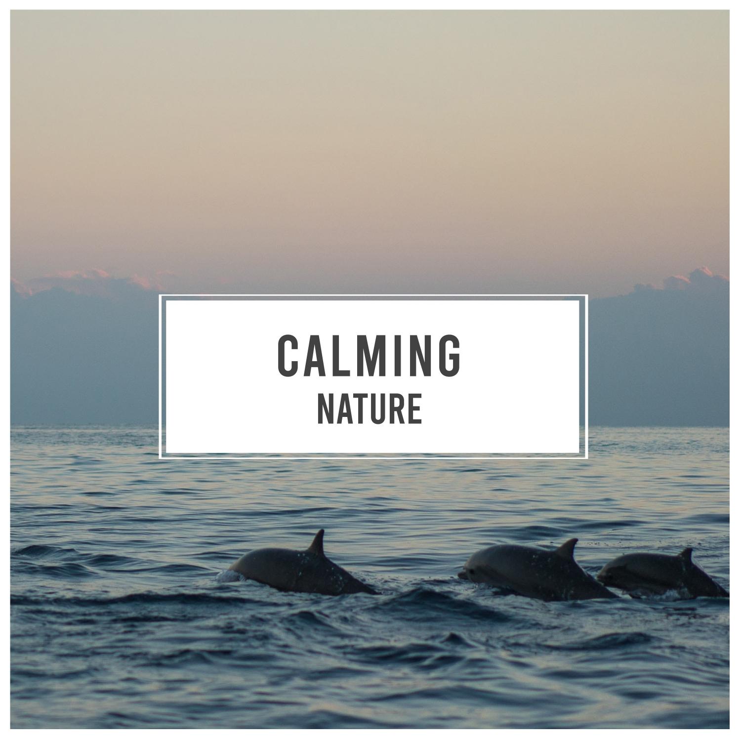 #Calming Nature