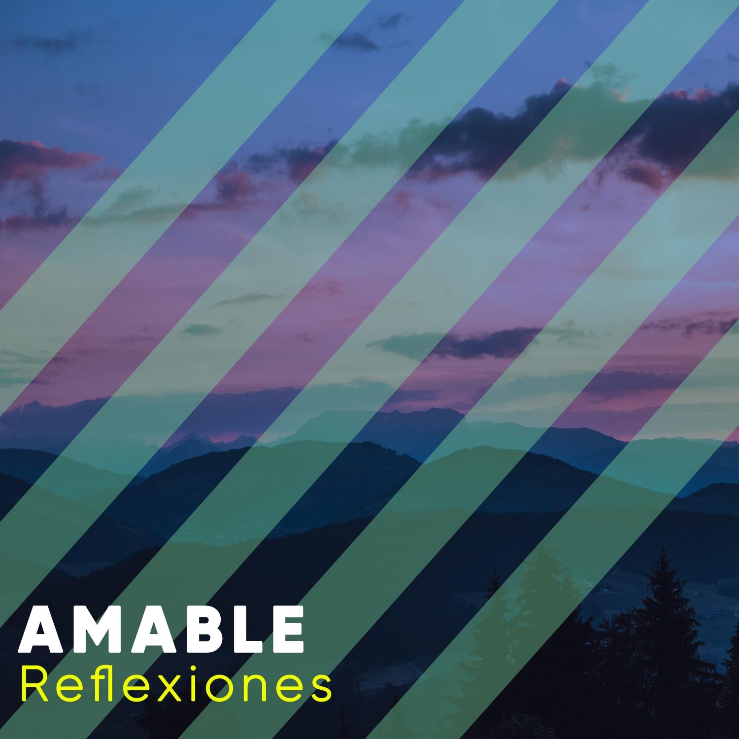 Amable Reflexiones, Vol. 1