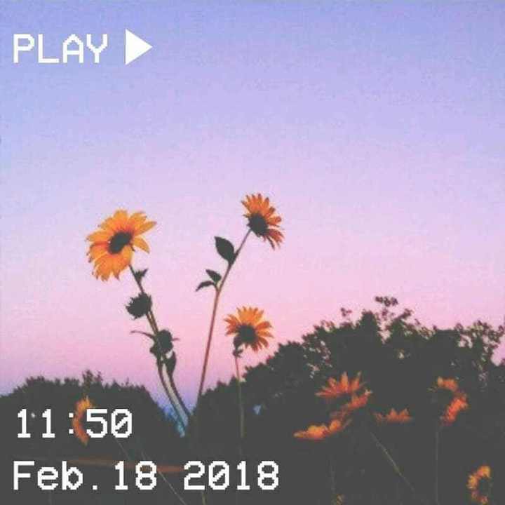 Kulup Yaxayman