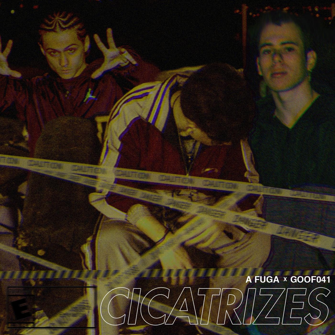 Cicatrizes