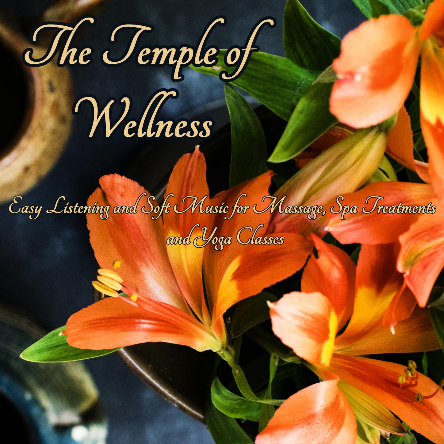 Holistic Therapy