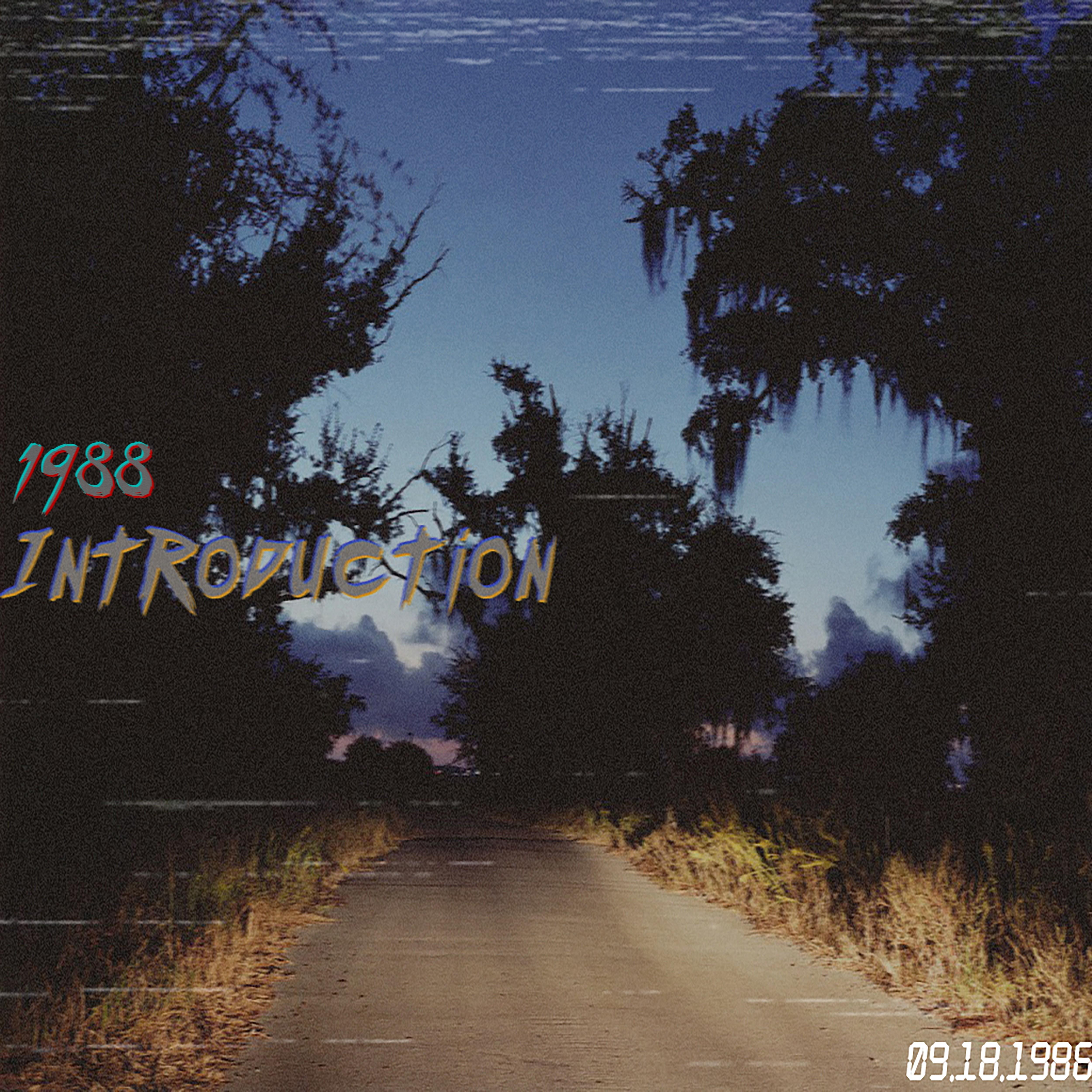 Introduction 1.1