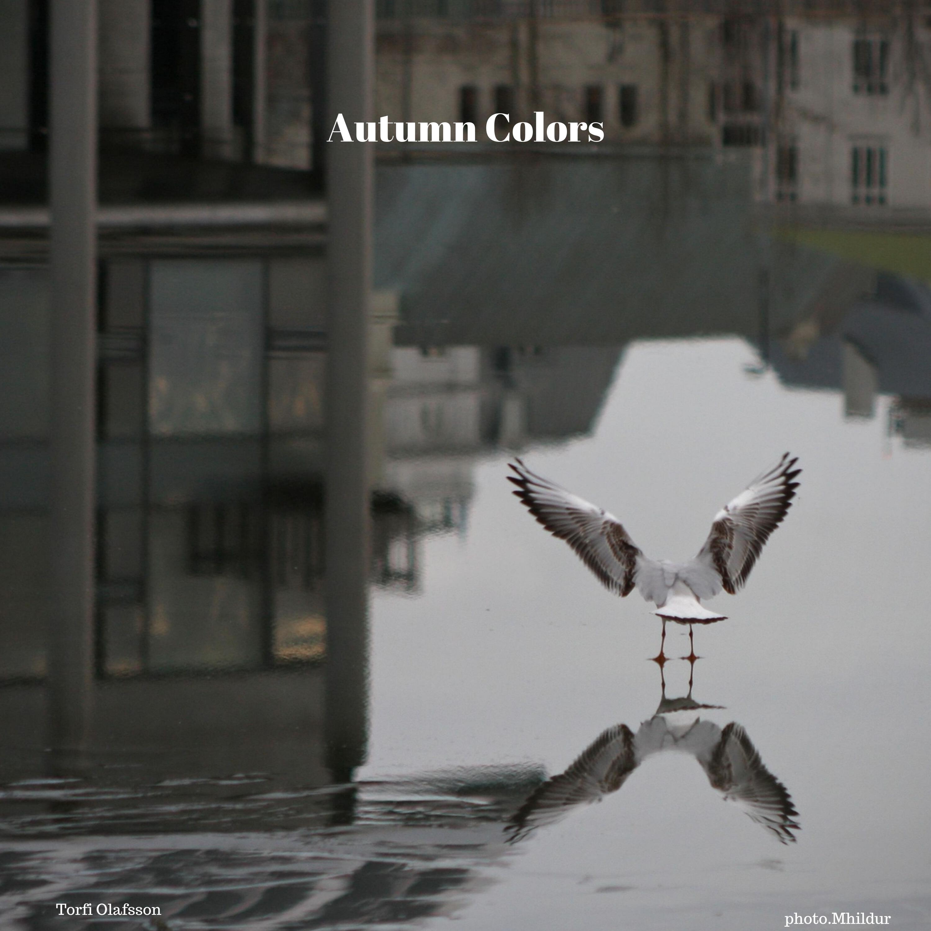 Autumn Colors