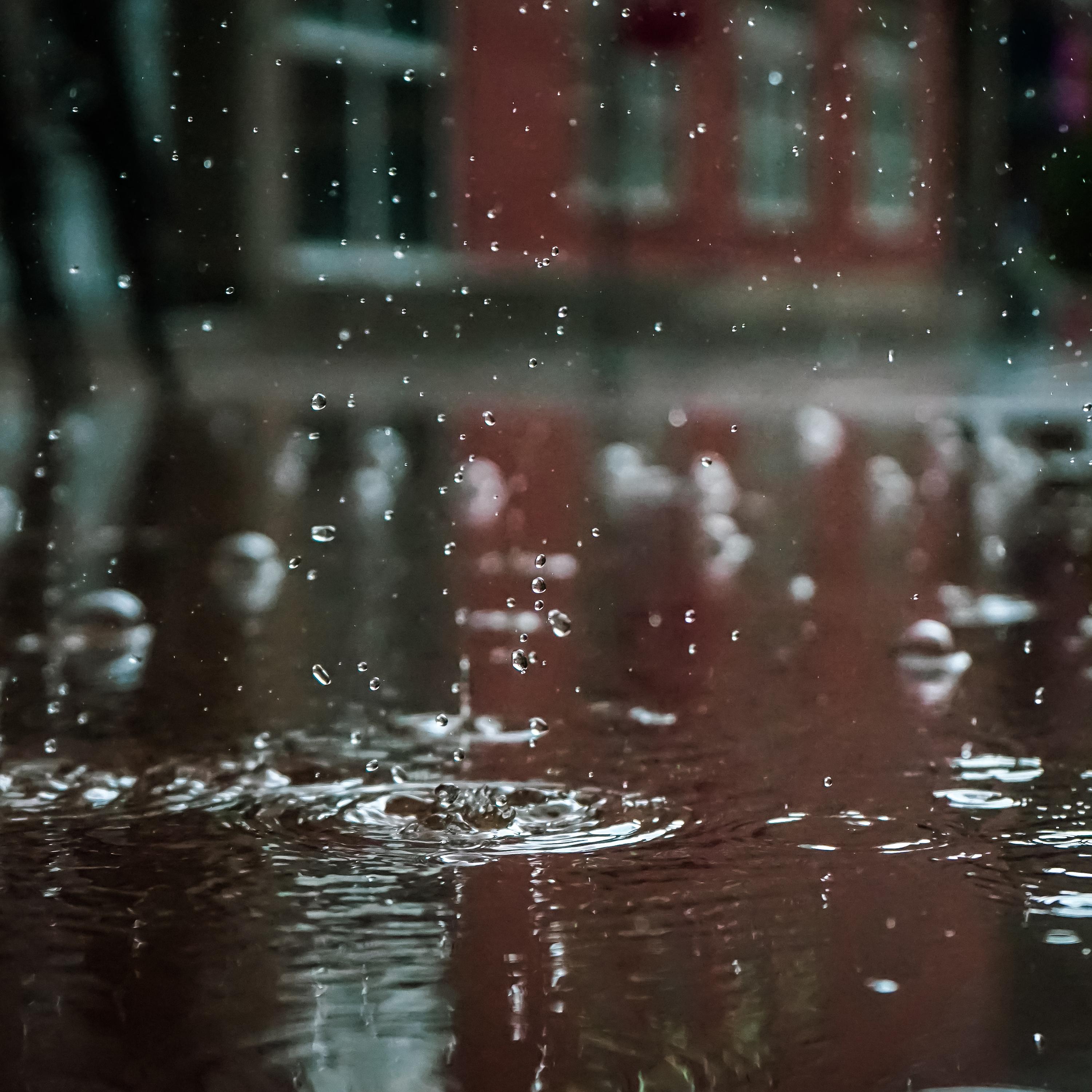 Heavy Droplets & Birds