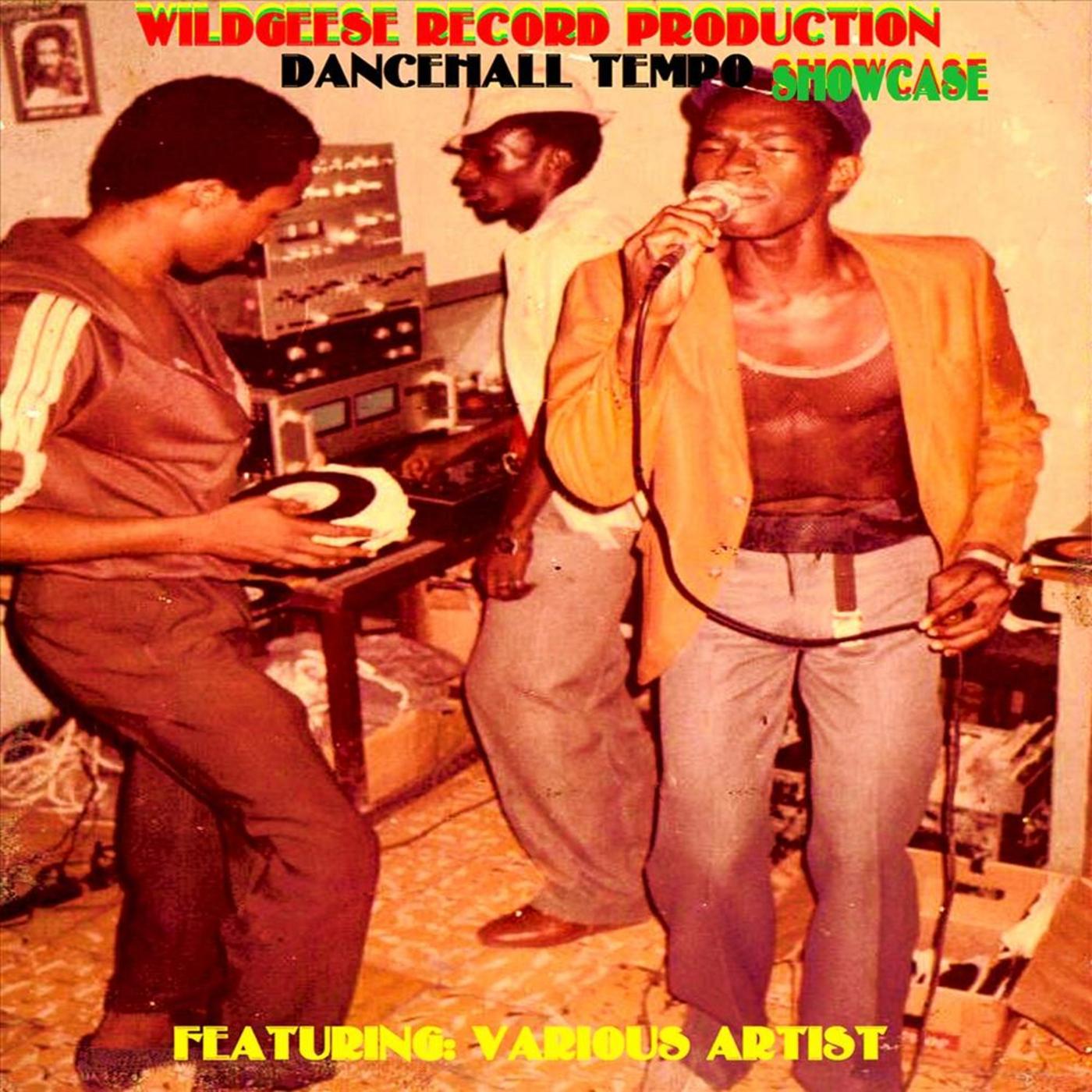Tempo Riddim