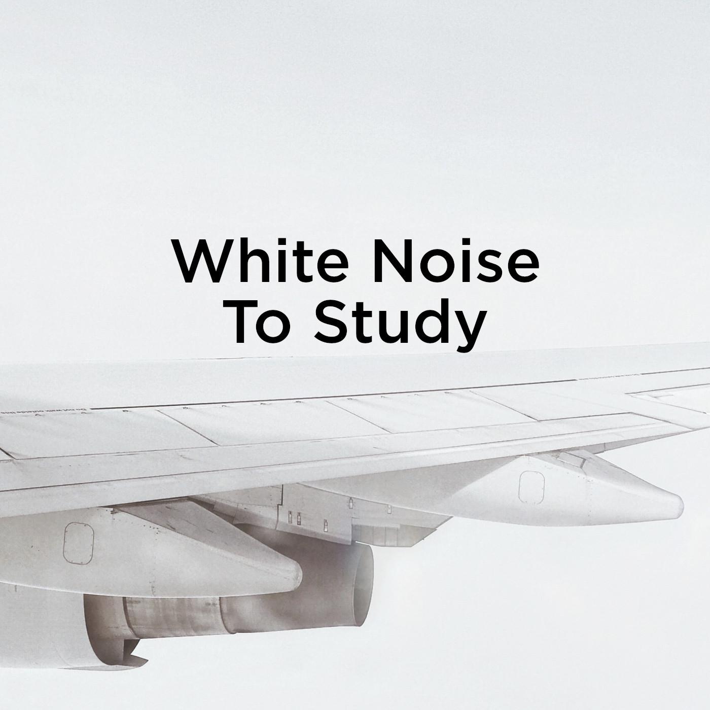 White Noise To Study