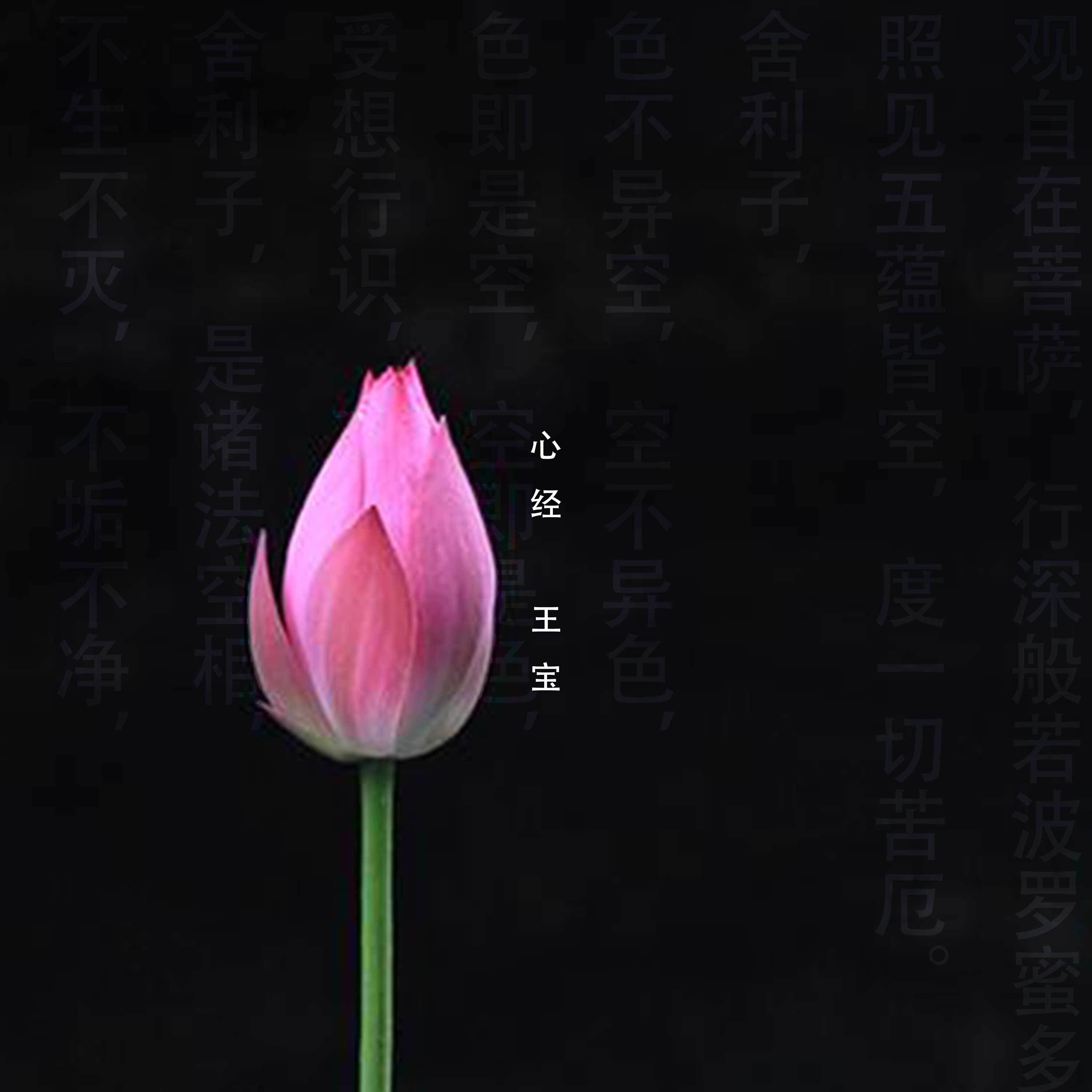 xin jing
