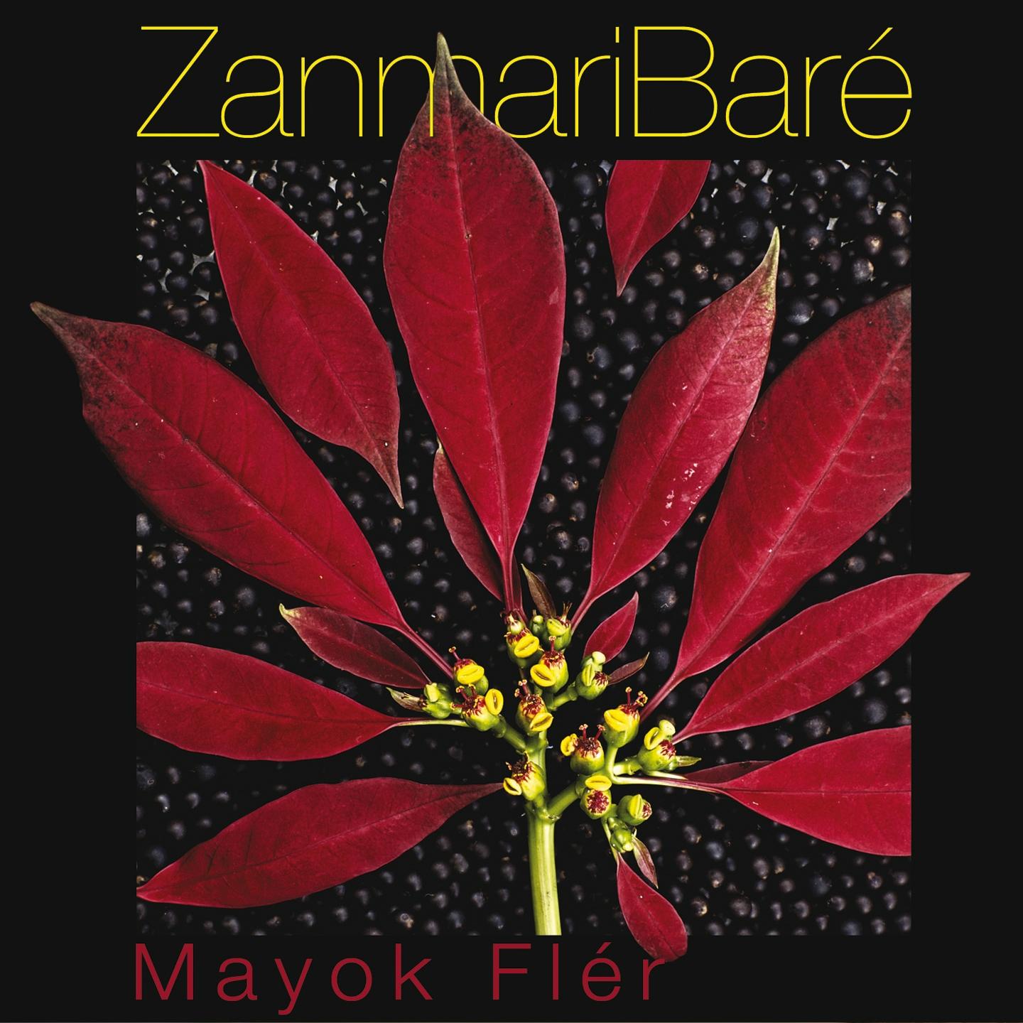 Mayok fle r