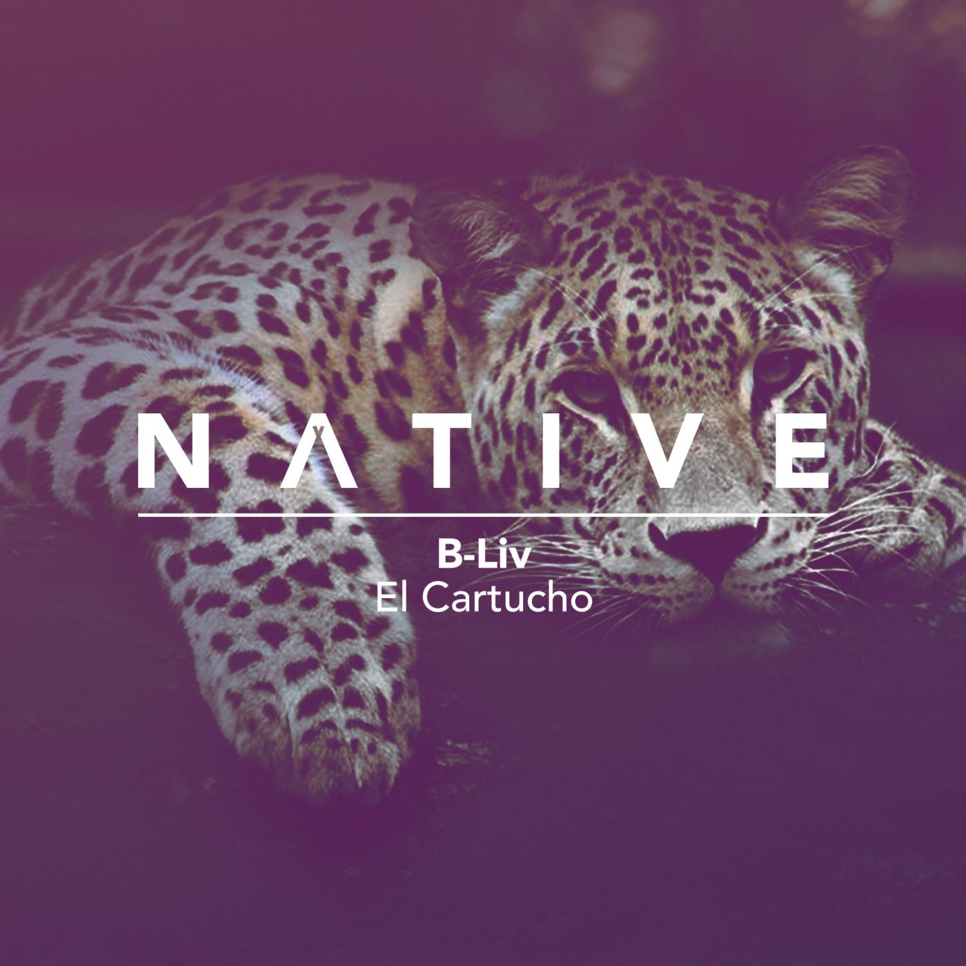 El Cartucho