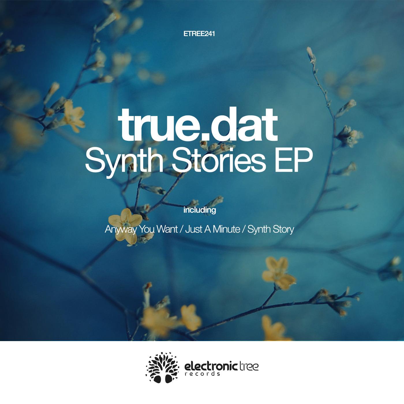 Synth Story