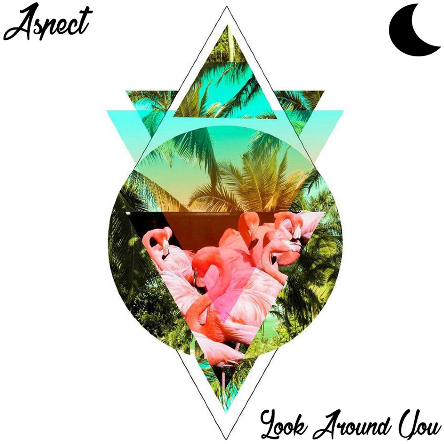 Look Around You