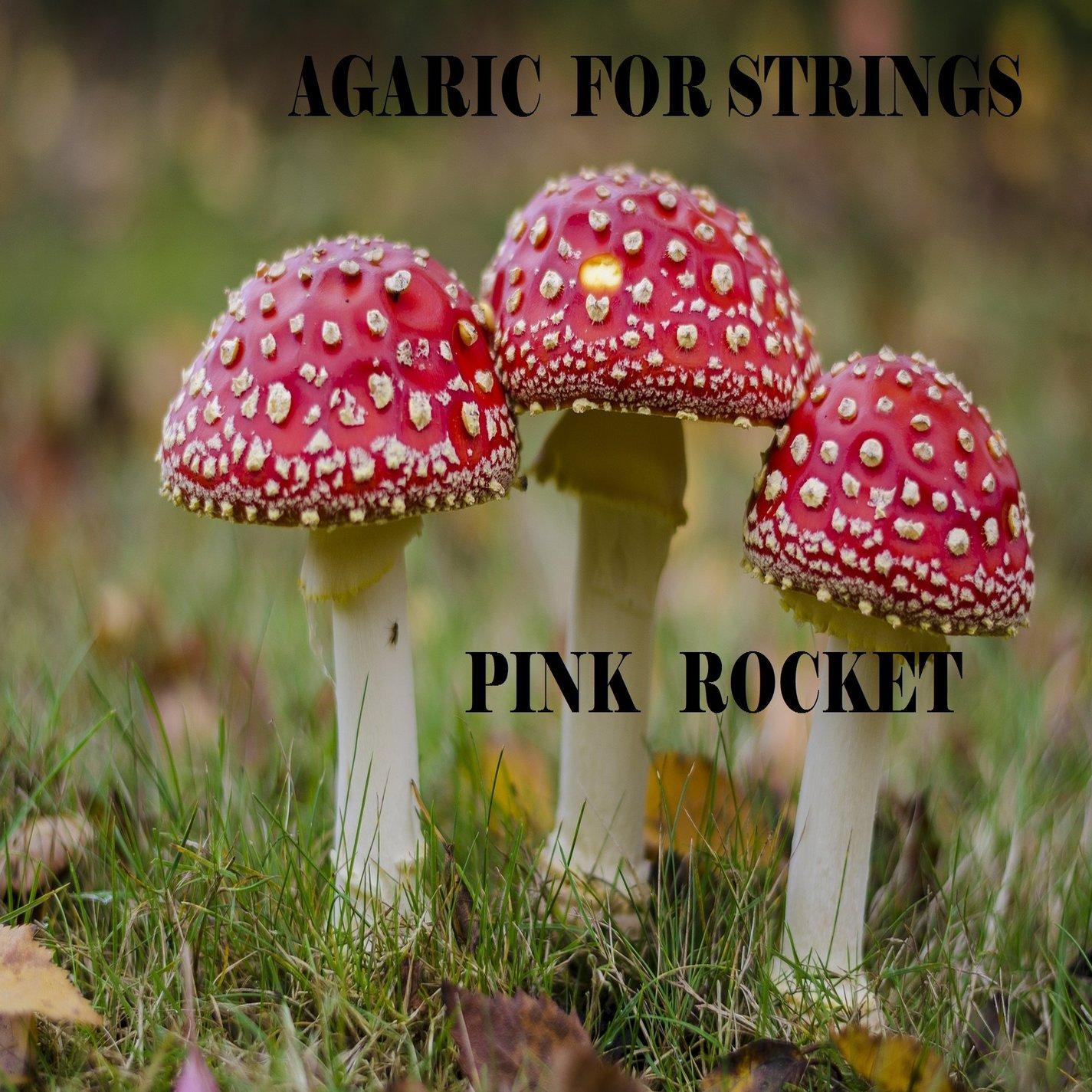 Agaric for Strings