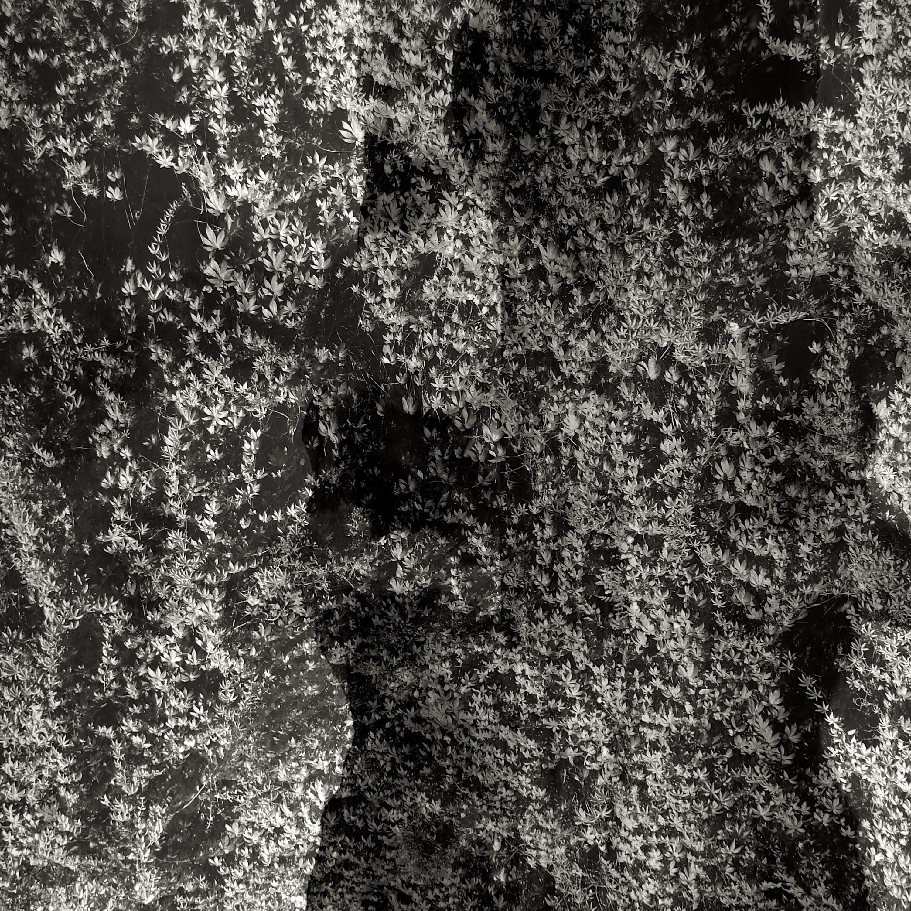Fabric Pulled