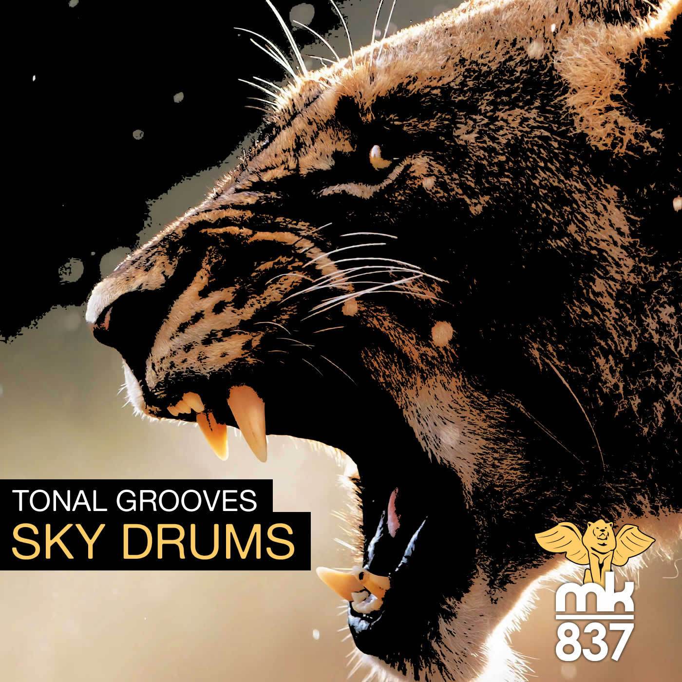 Sky Dub