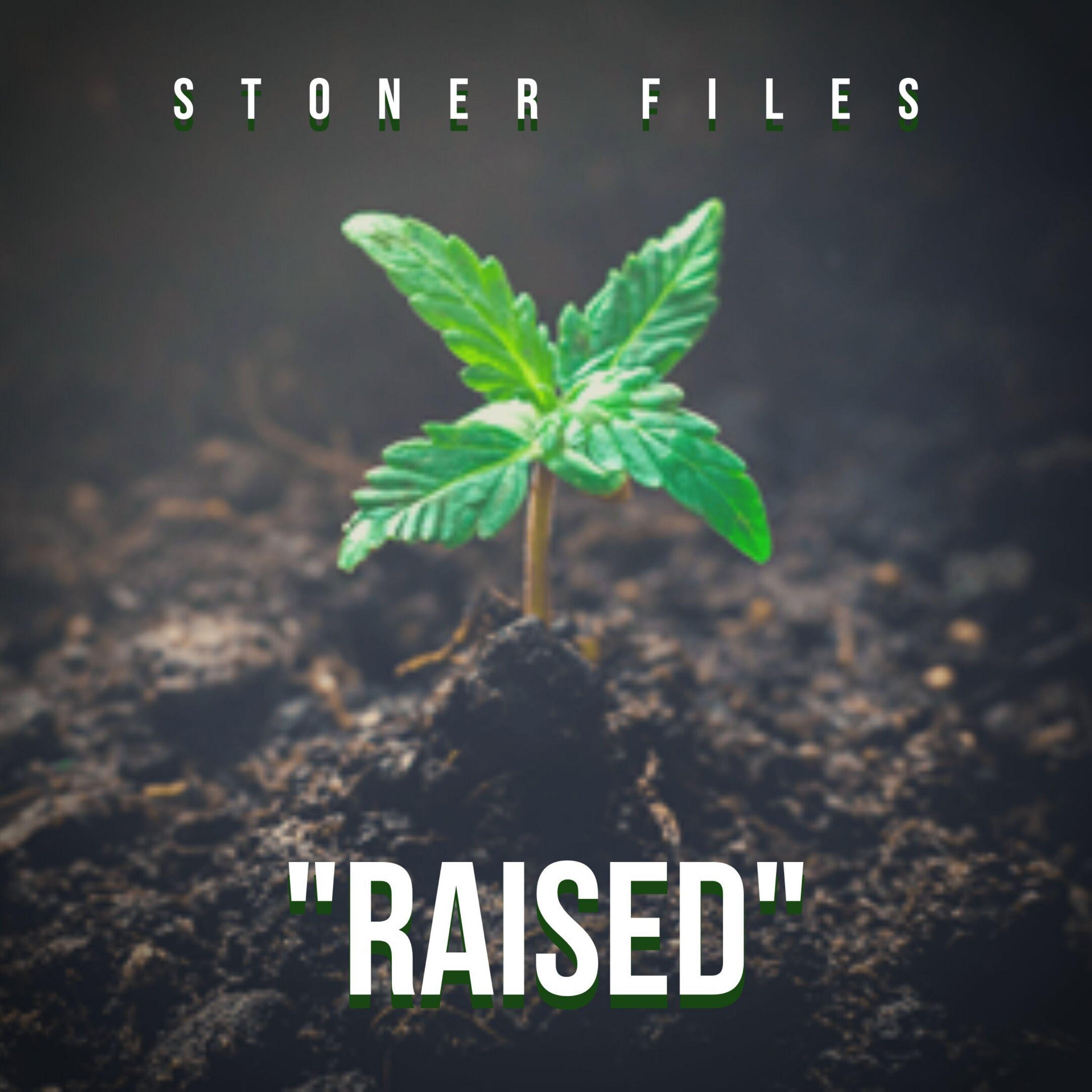 Raised