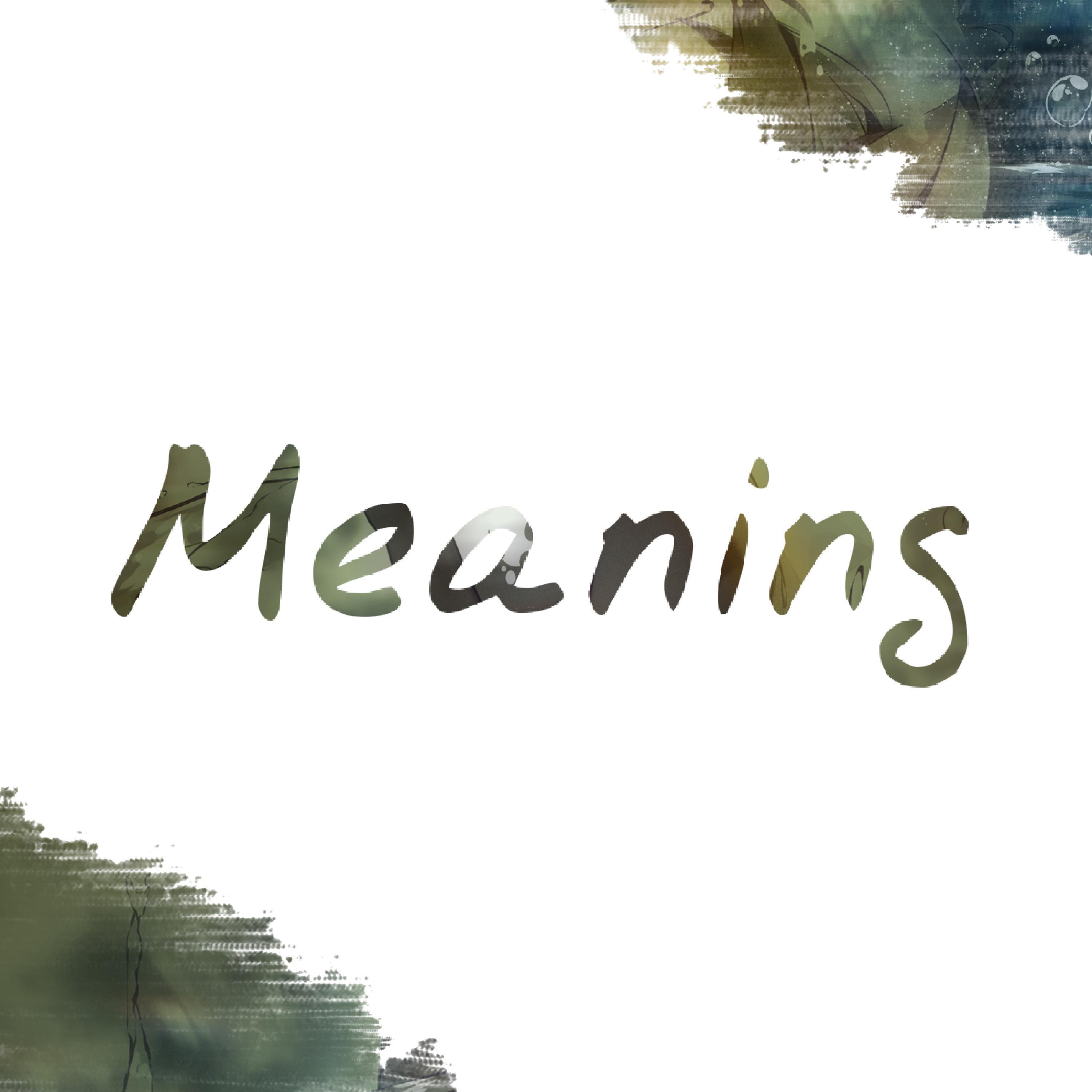 Meaning