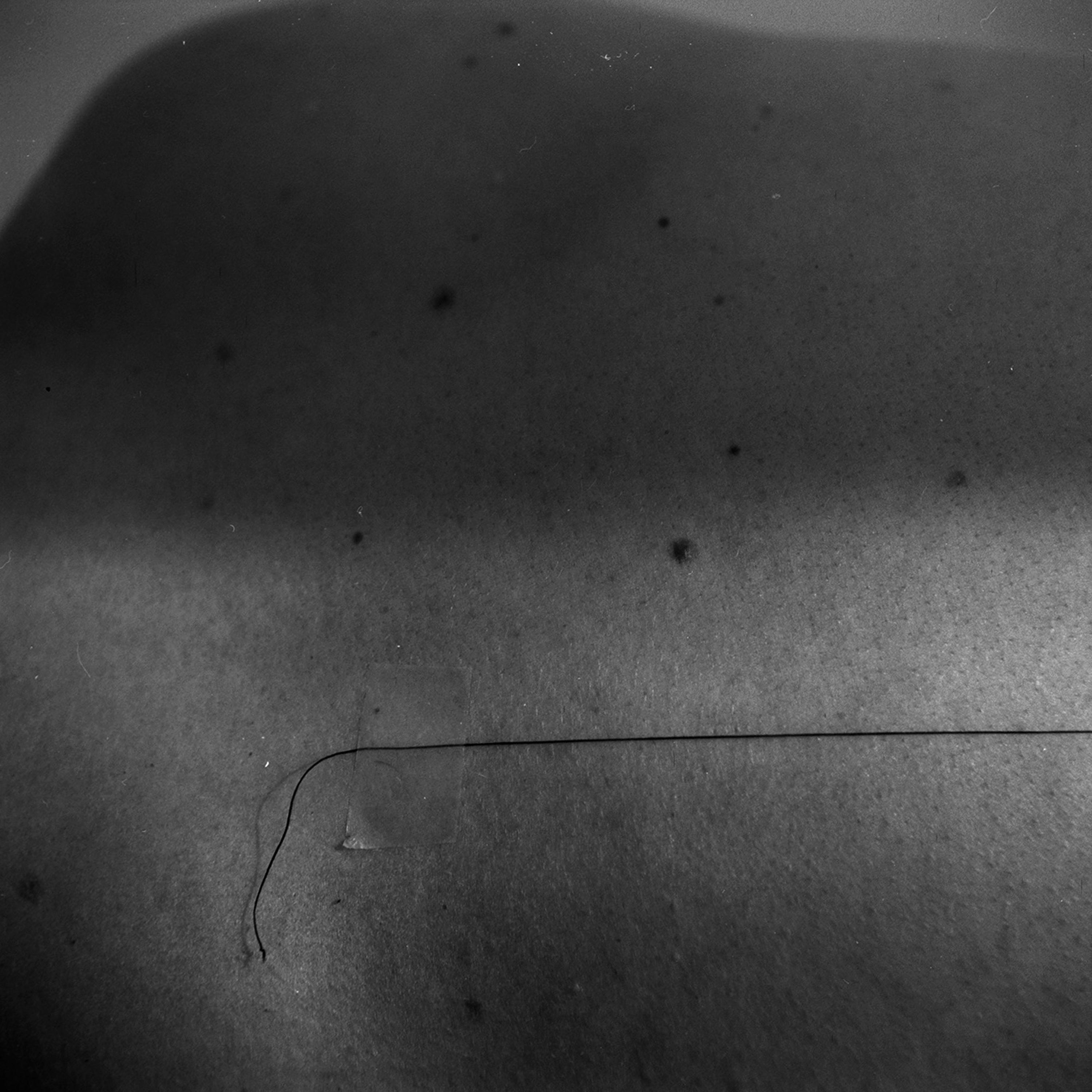 Tributaries