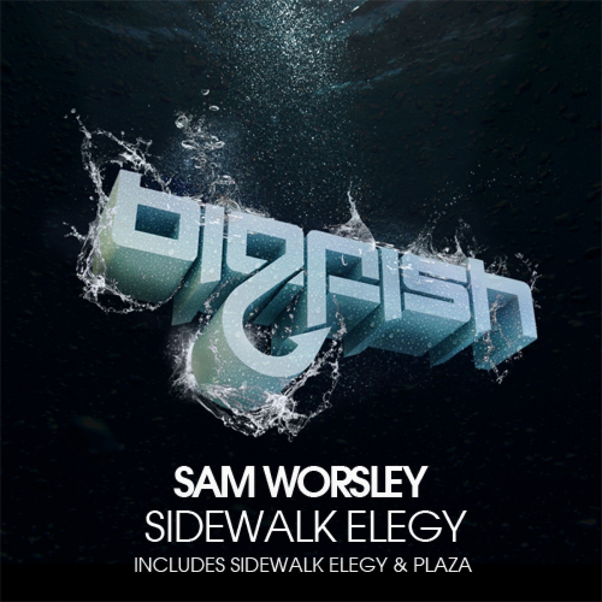 Sidewalk Elegy (Original Mix)