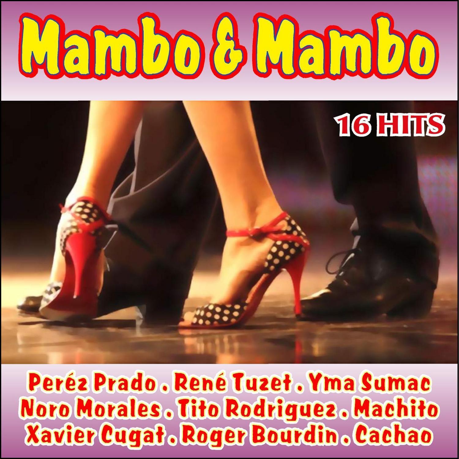 Mambo & Mambo