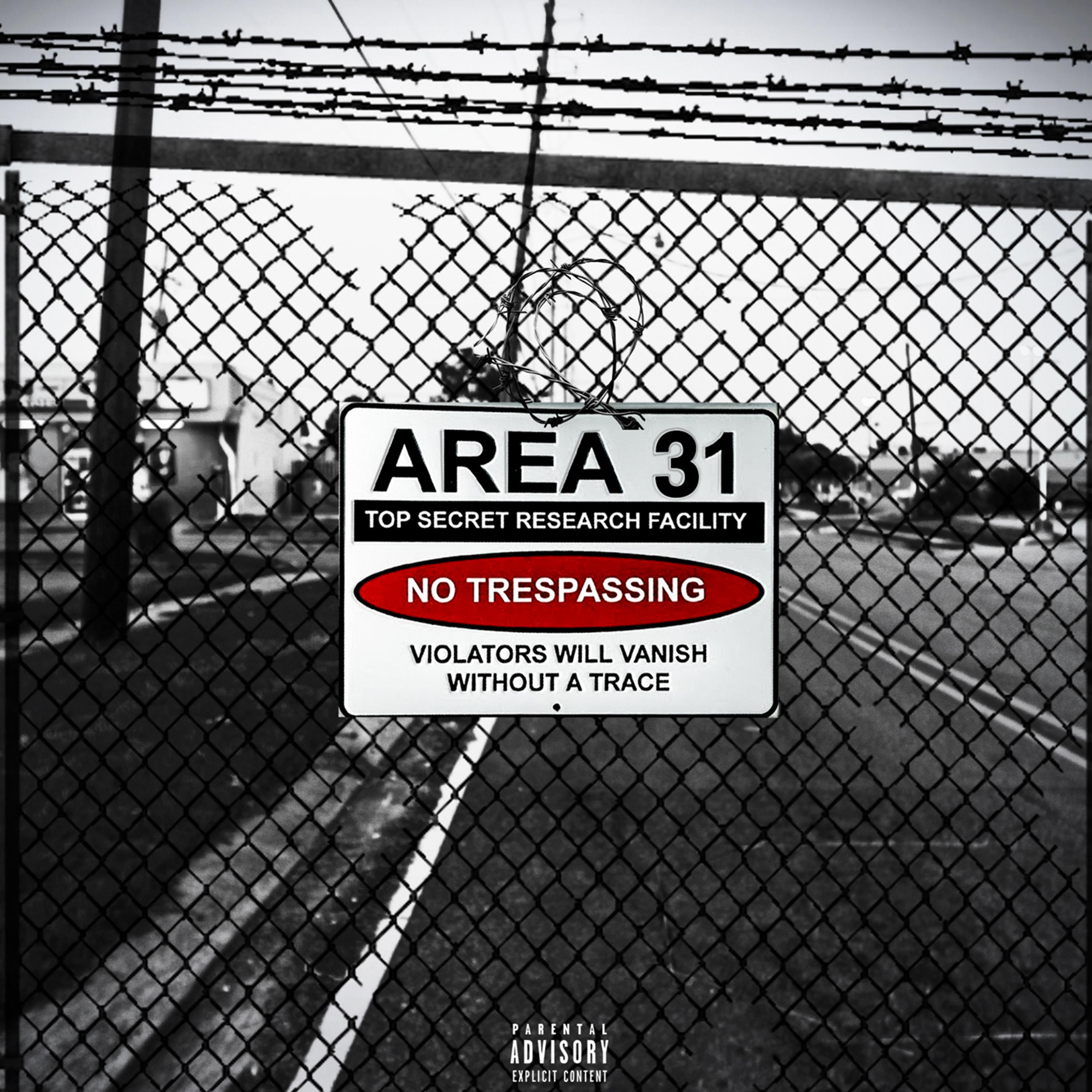 Area 31