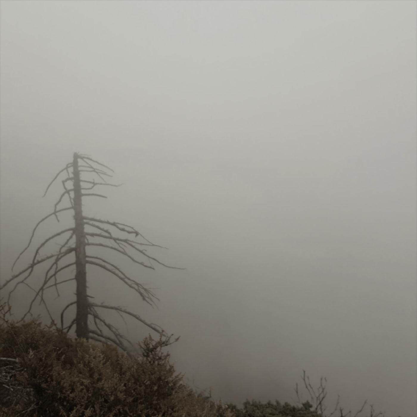 Overcast