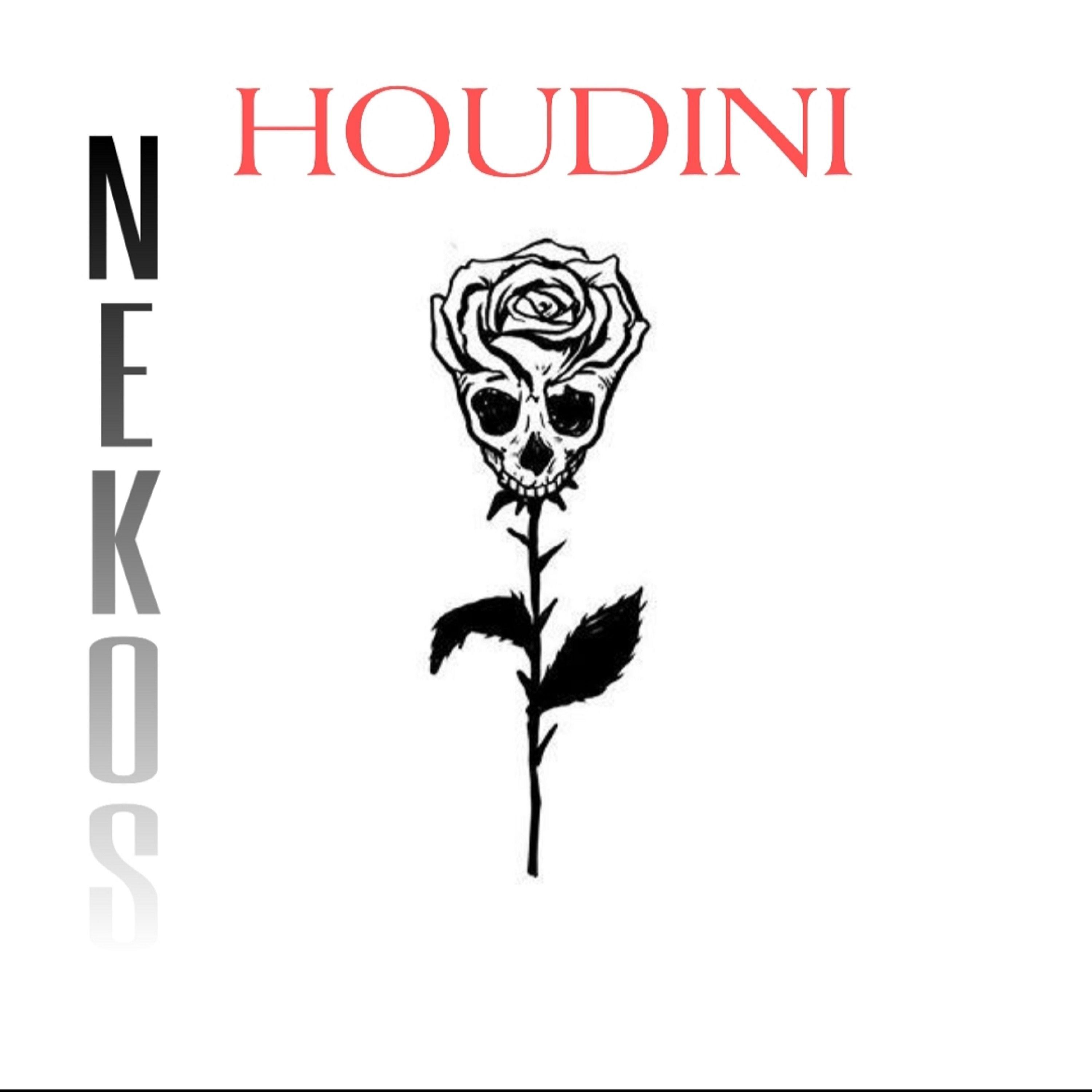 Houdini