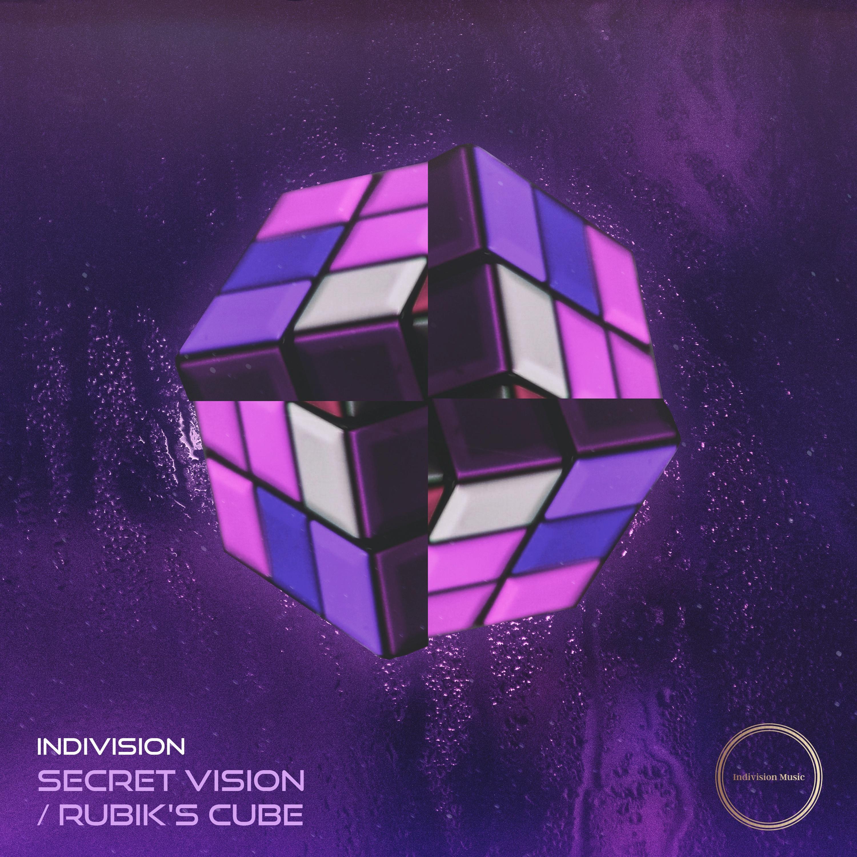 Secret Vision
