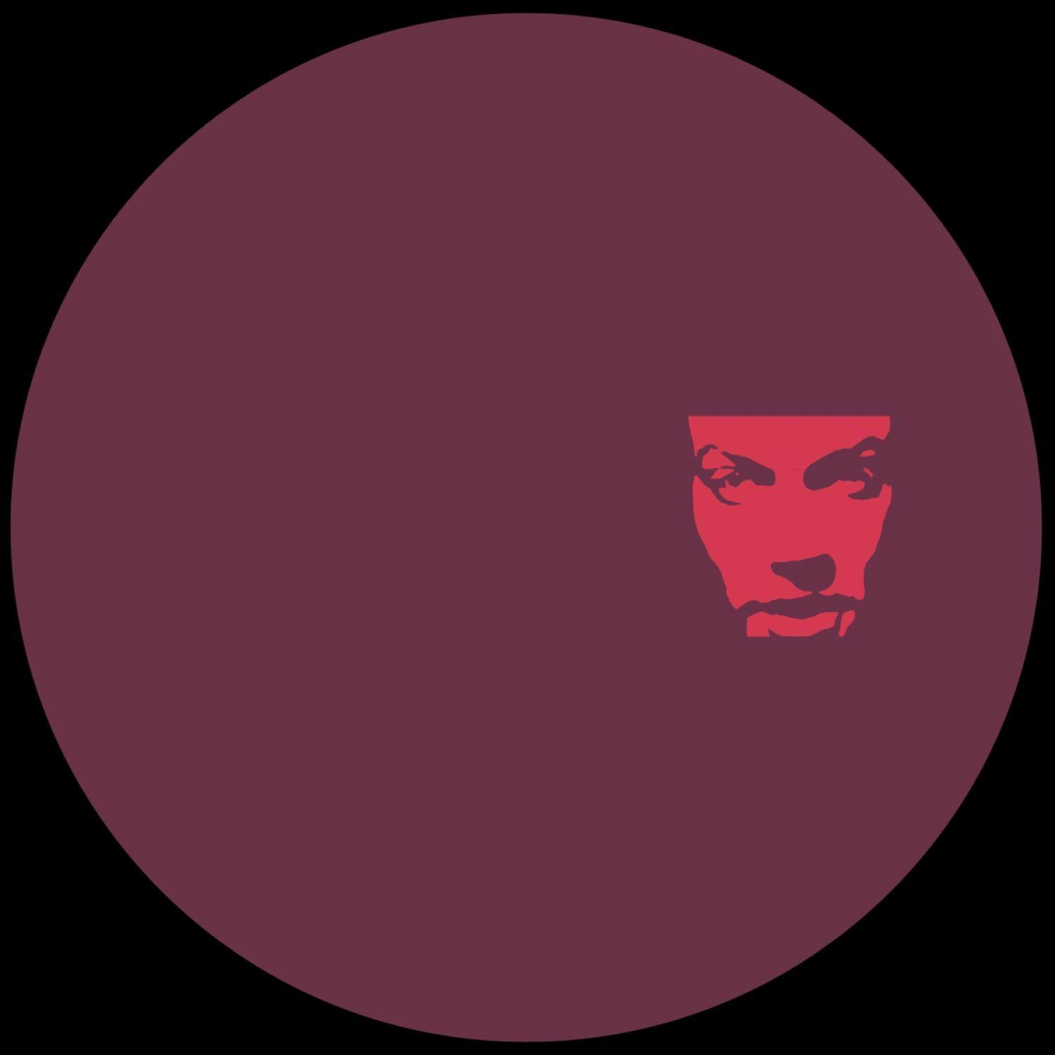 String Theory Ambient Tool