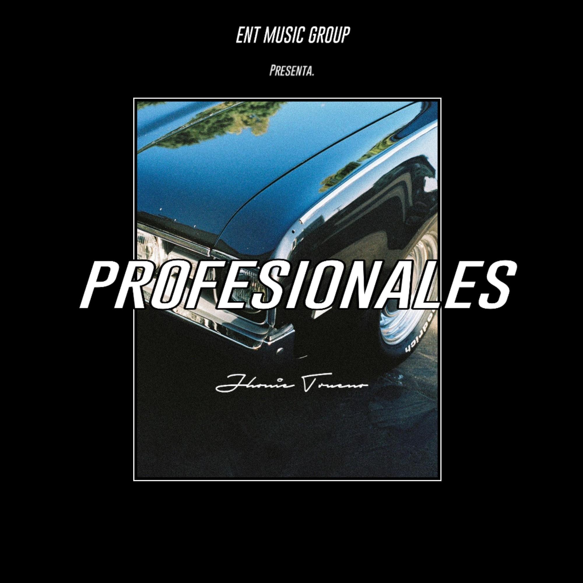 Profesionales