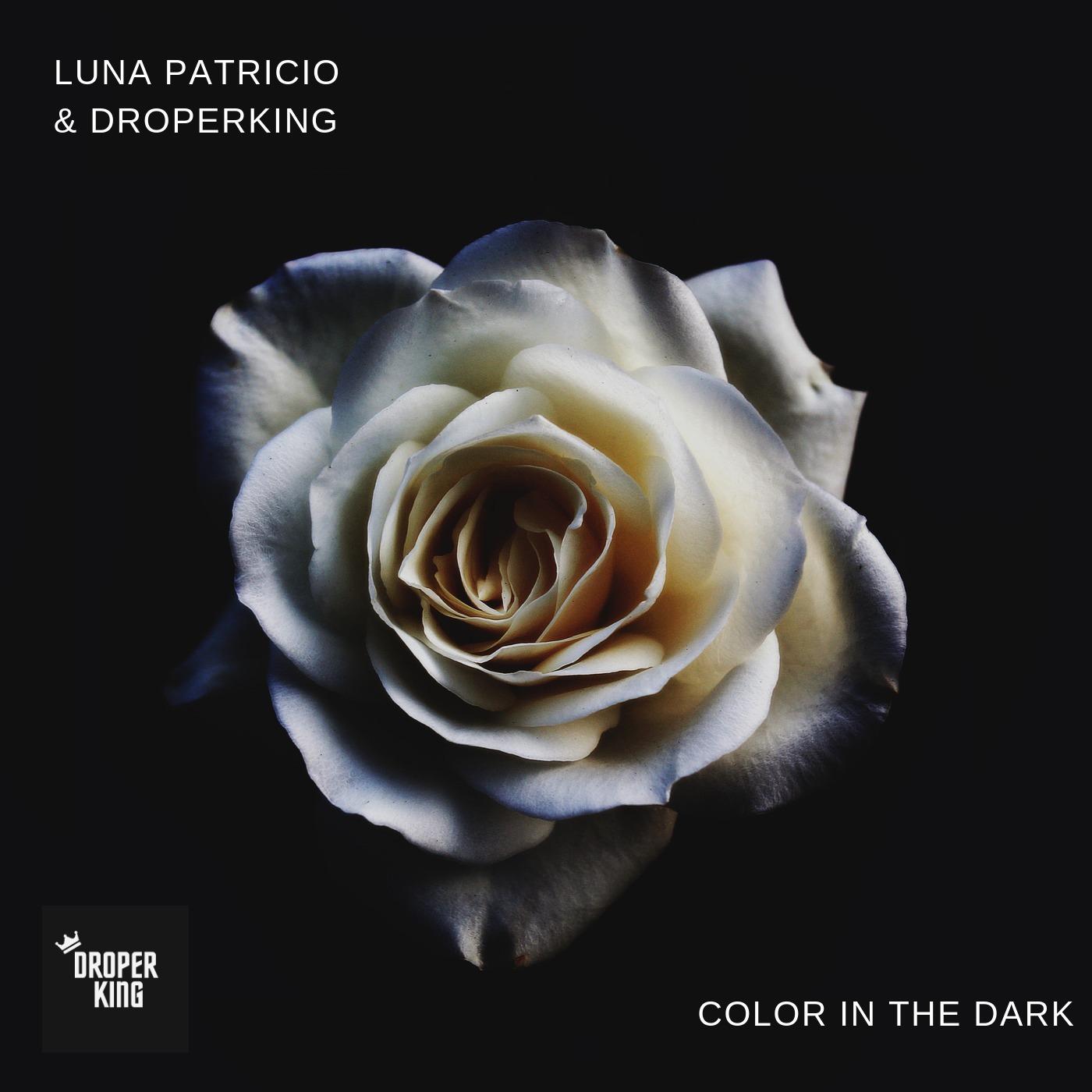 Color In The Dark