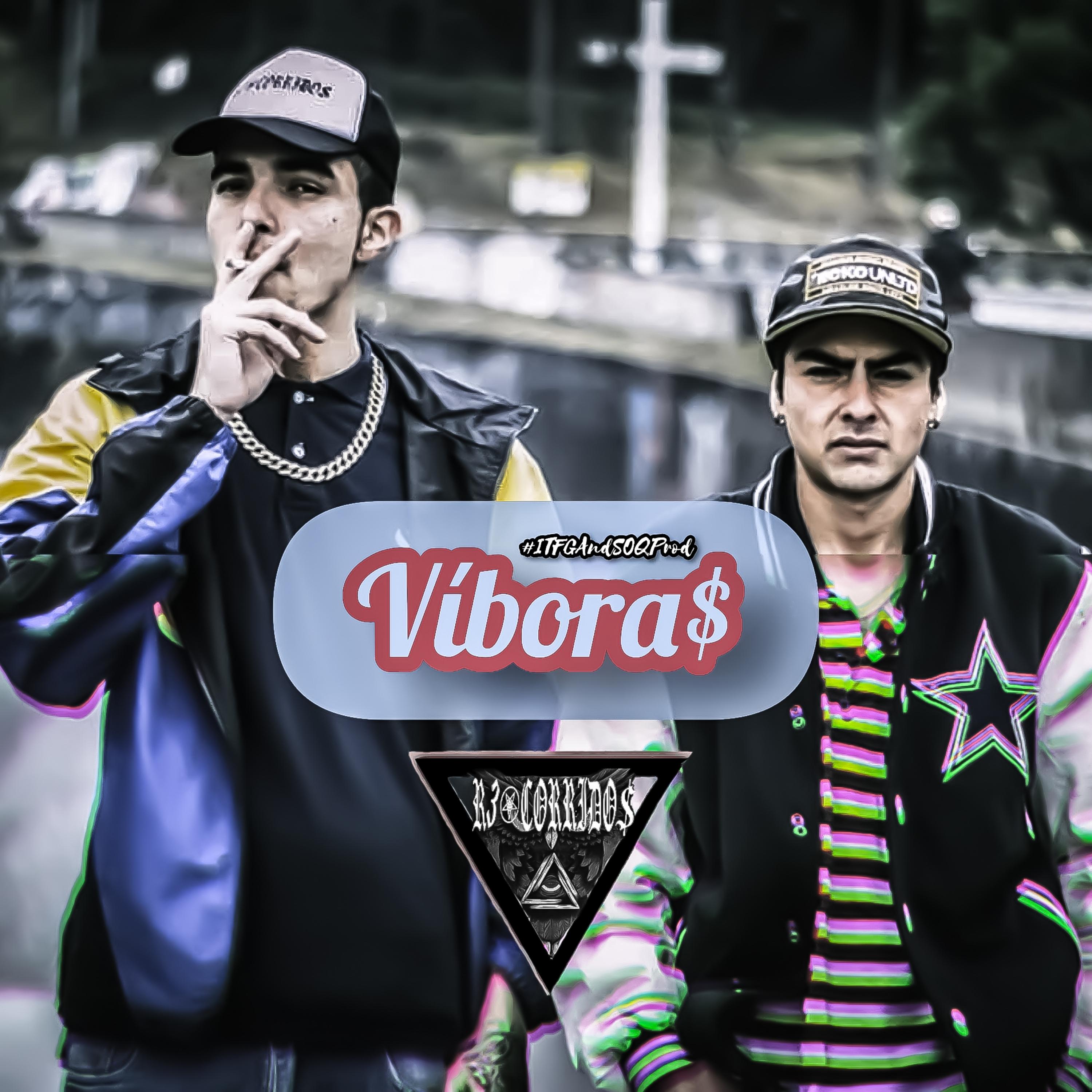 Vi boras