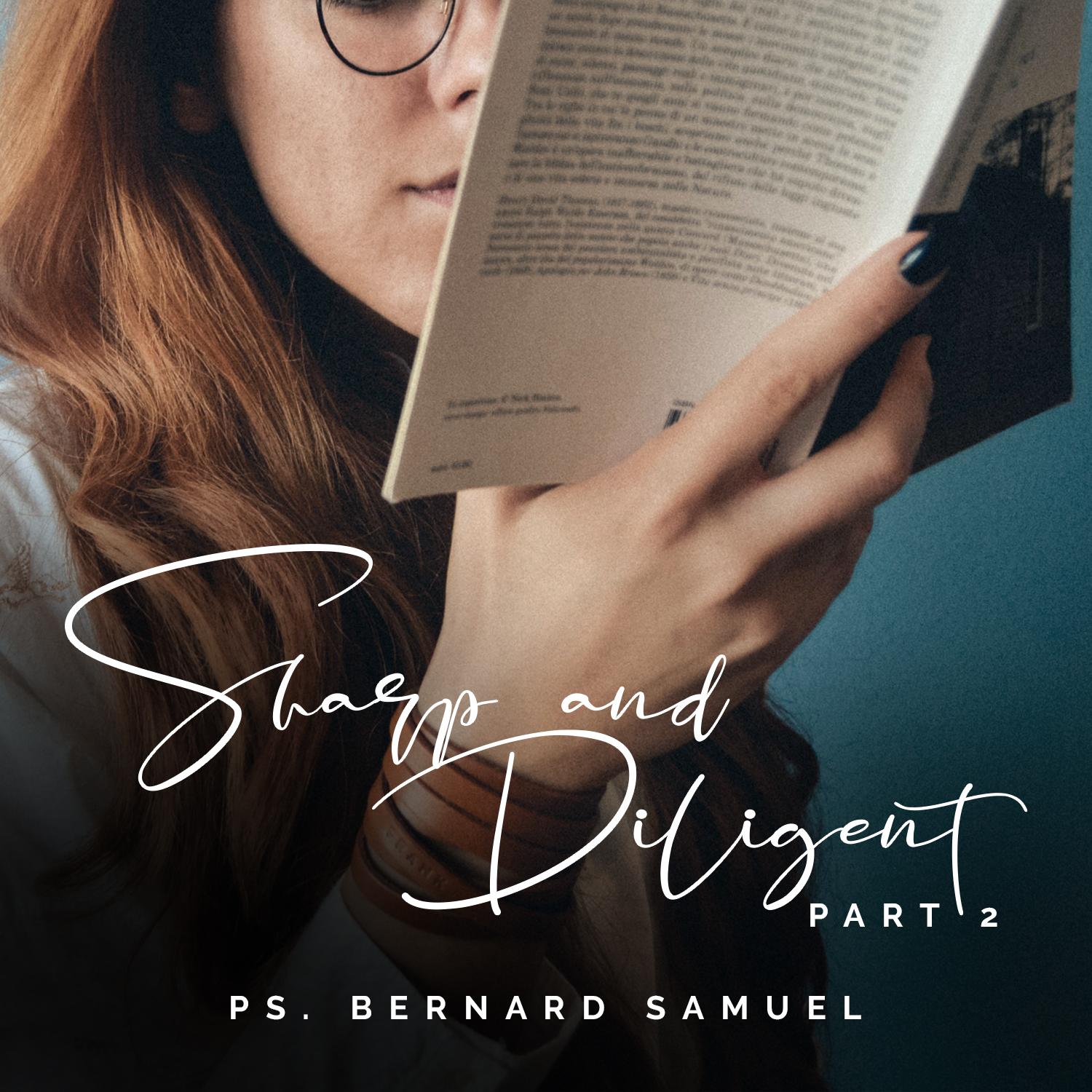 Sharp & Diligent 2