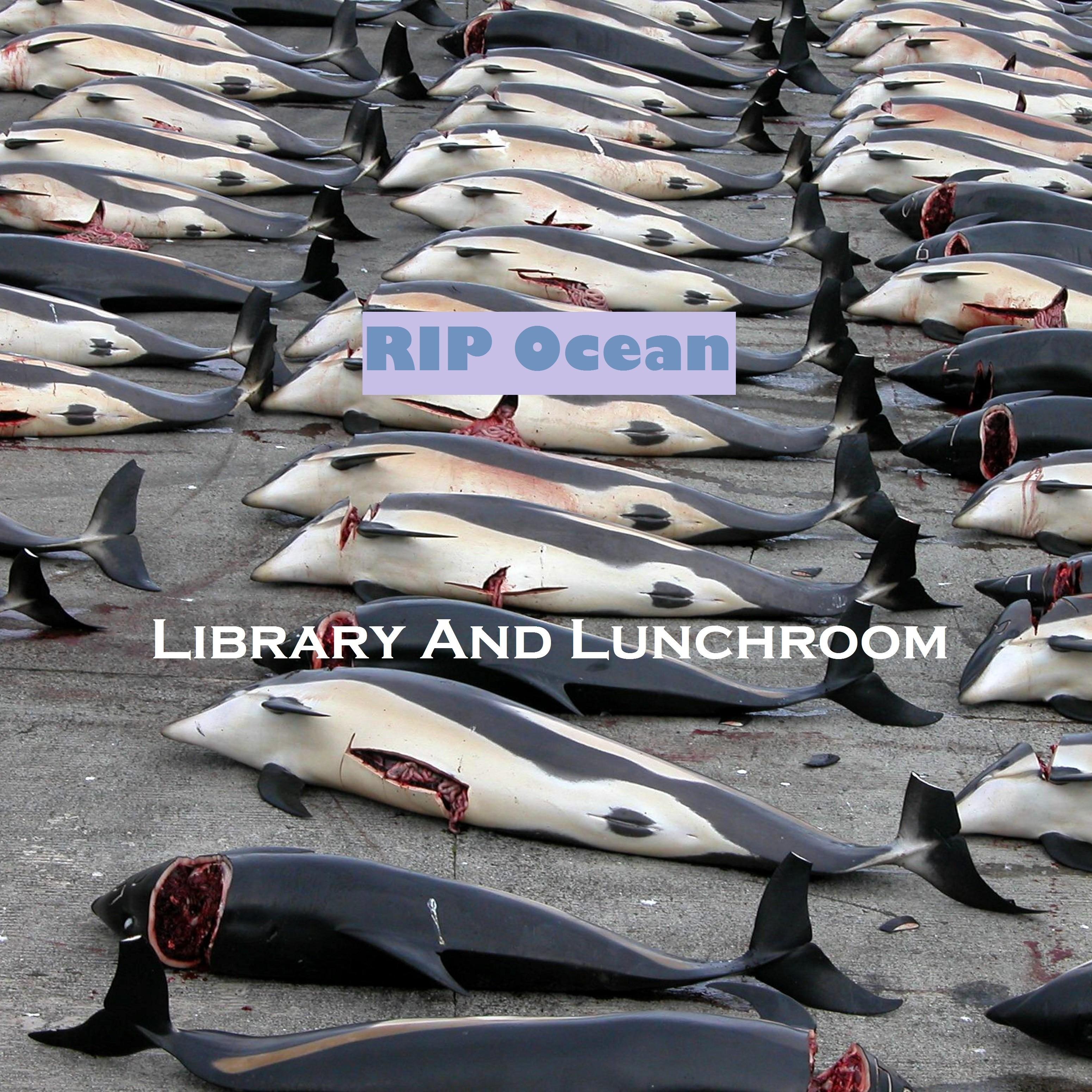 Rip Ocean