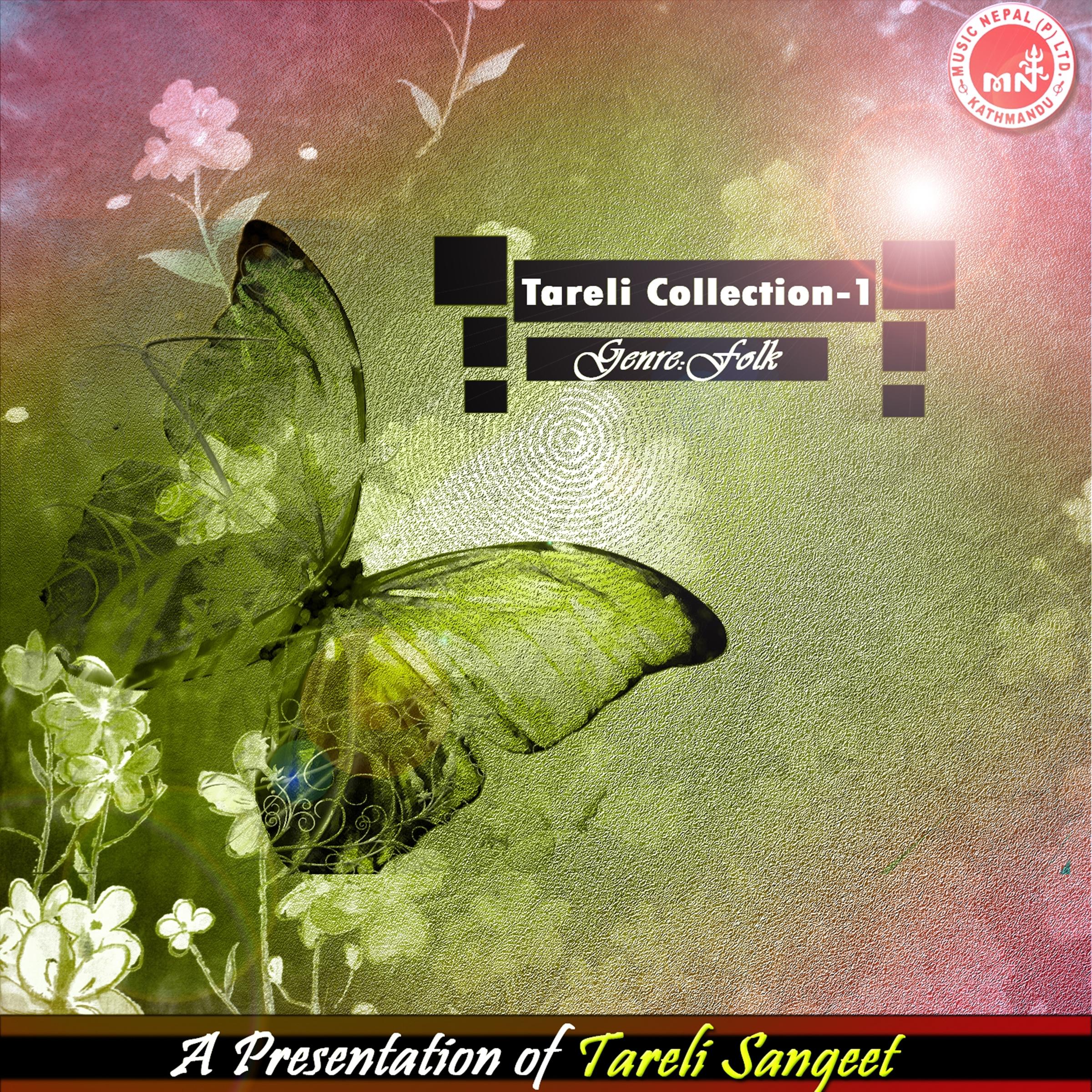 Tareli Collection 1