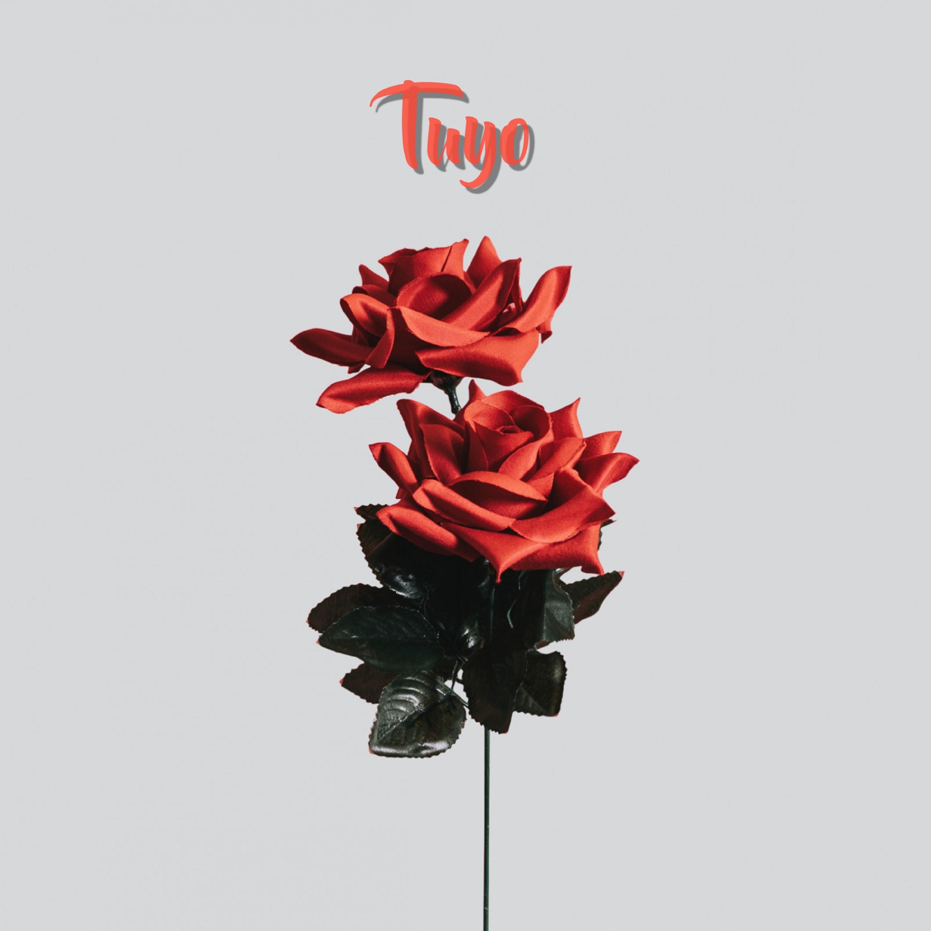 Tuyo