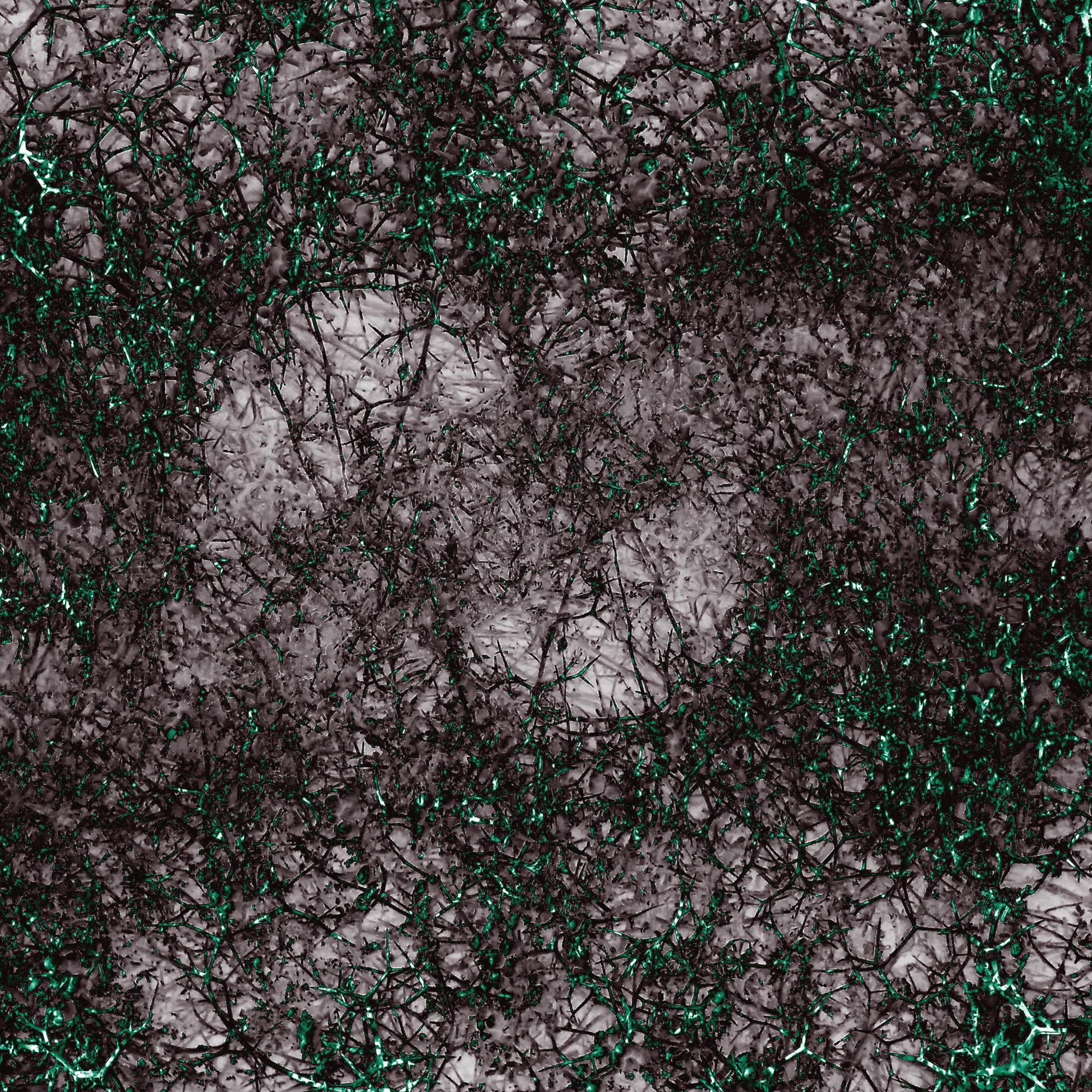 Removed Bliss