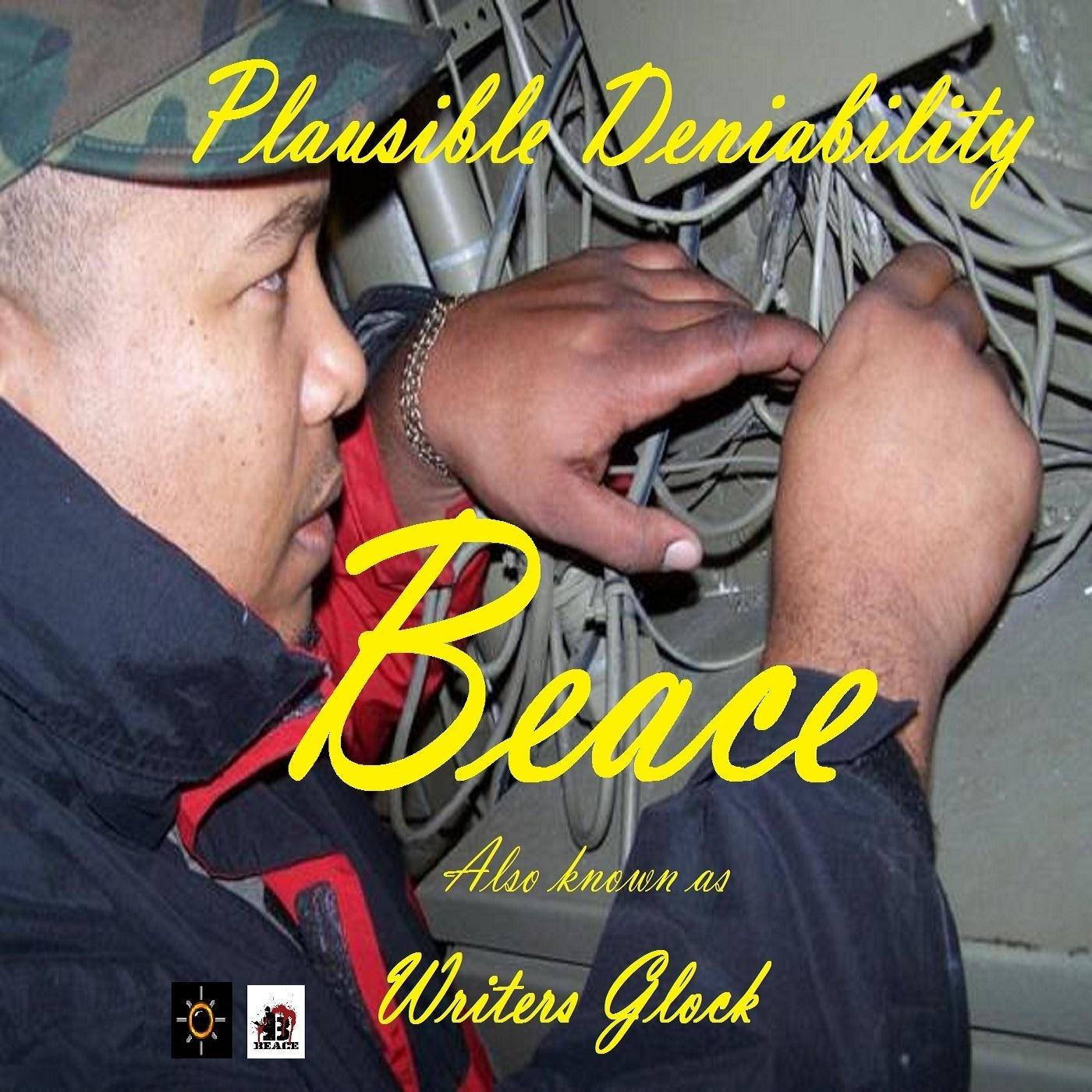 Plausible Deniability