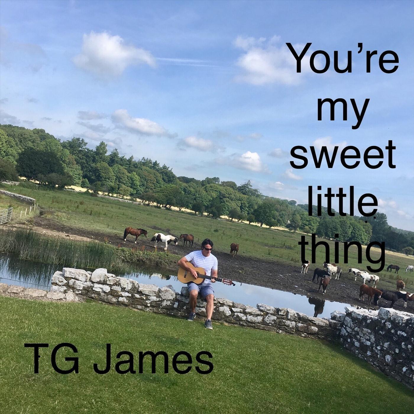 The Way You Looked