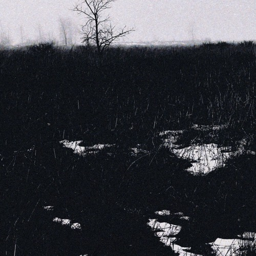 Voices In My Head
