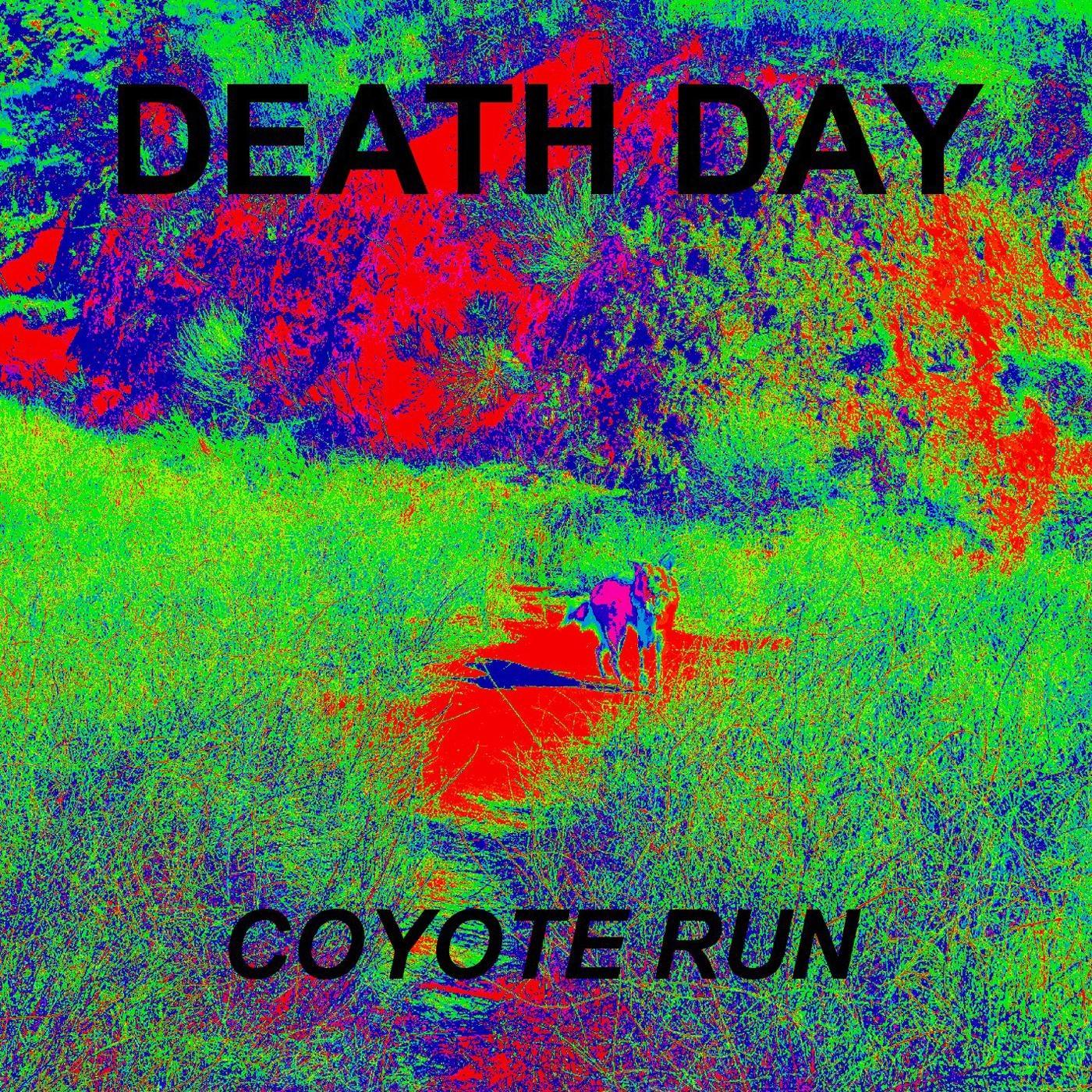 Coyote Run