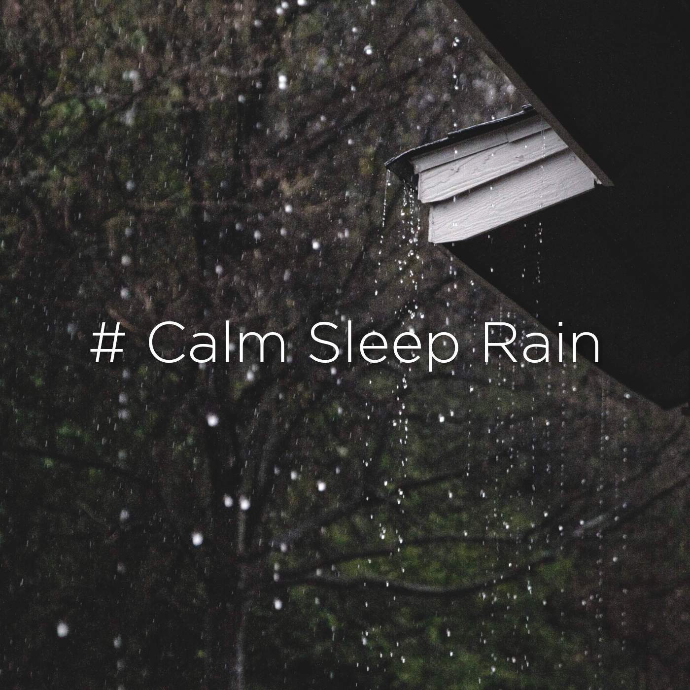 # Calm Sleep Rain