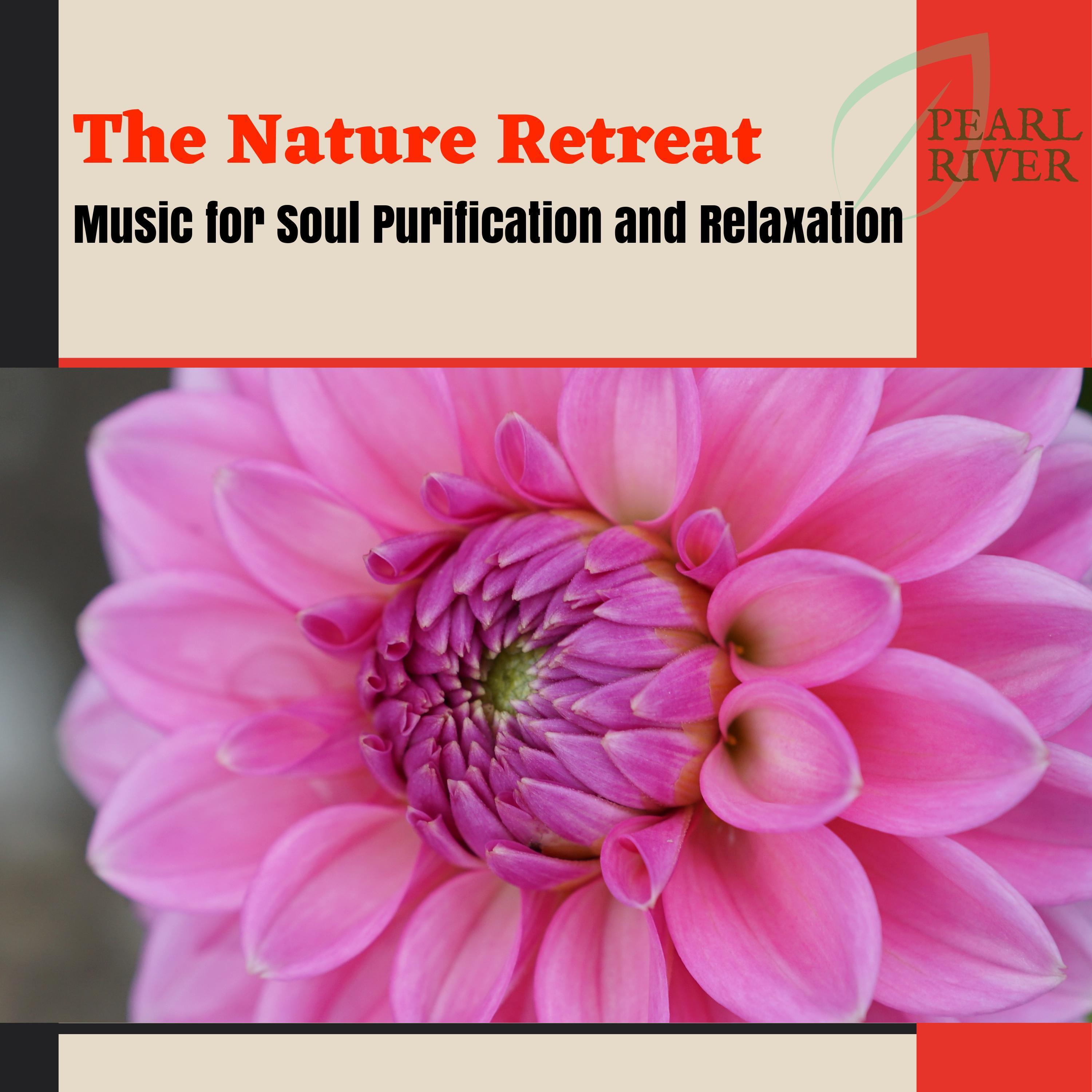Relax Your Soul
