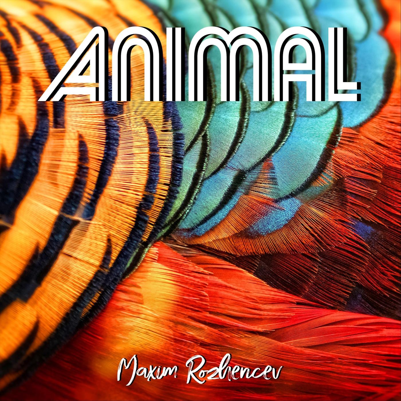 Animal
