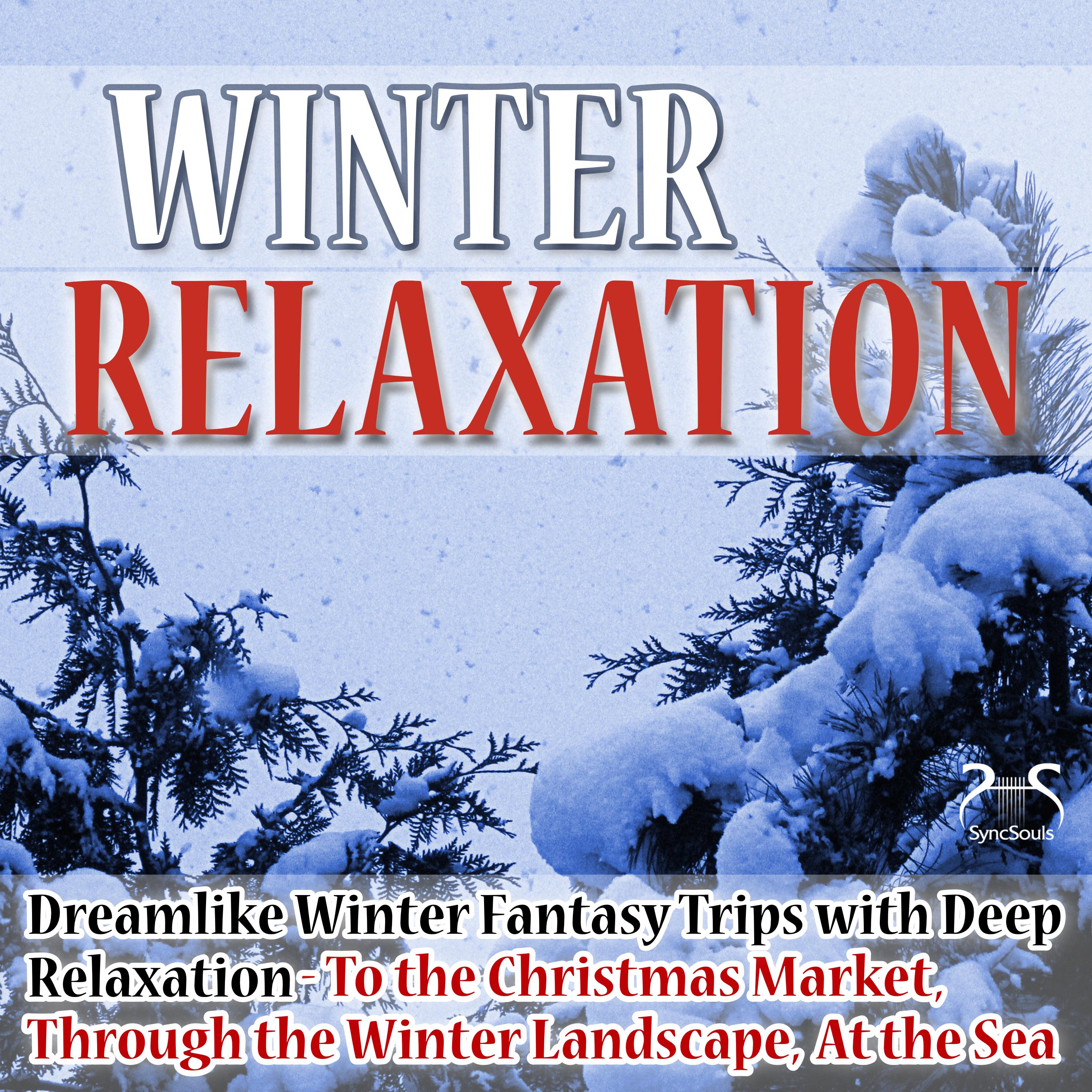 Enjoy a Nice Winter Day, Part 3