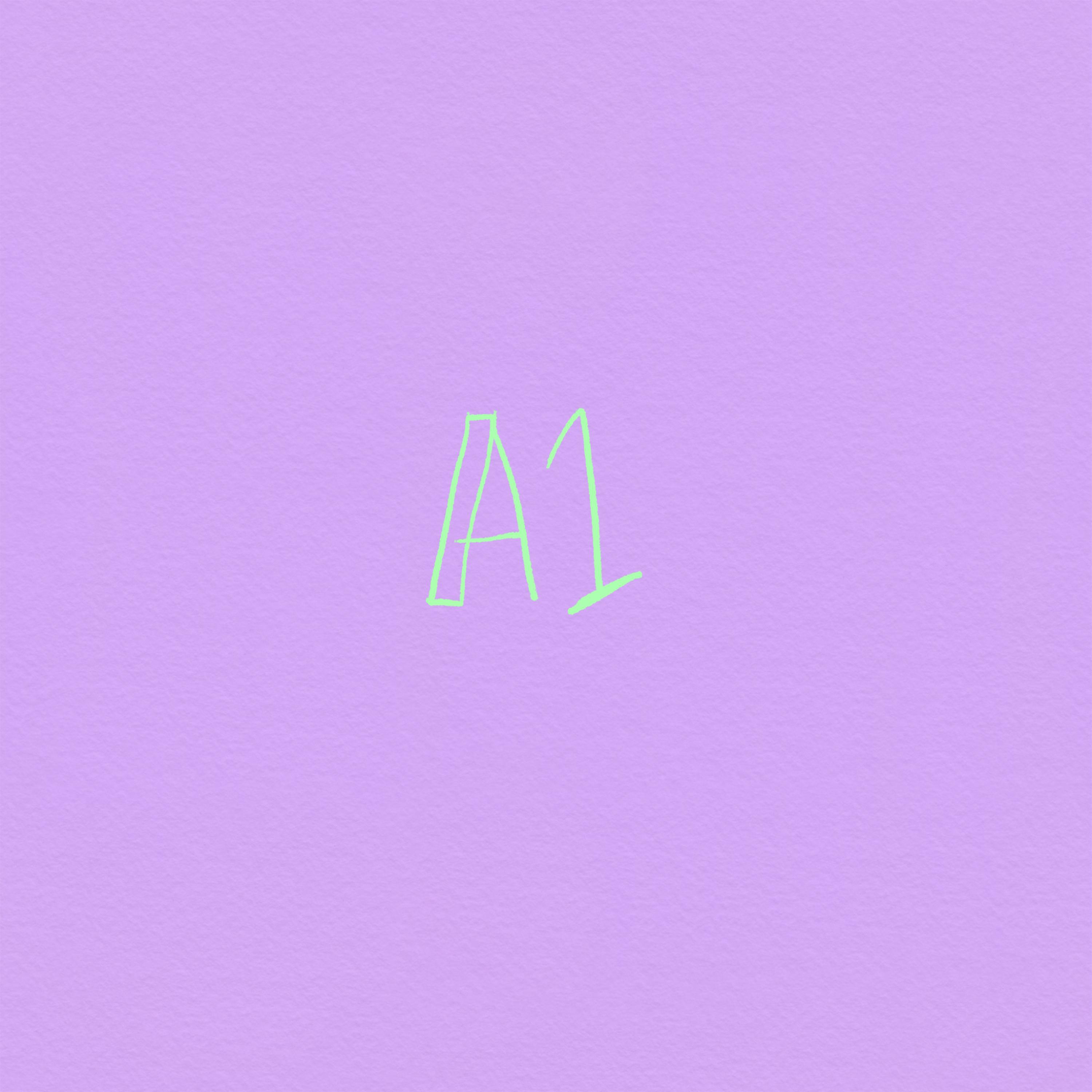 A1