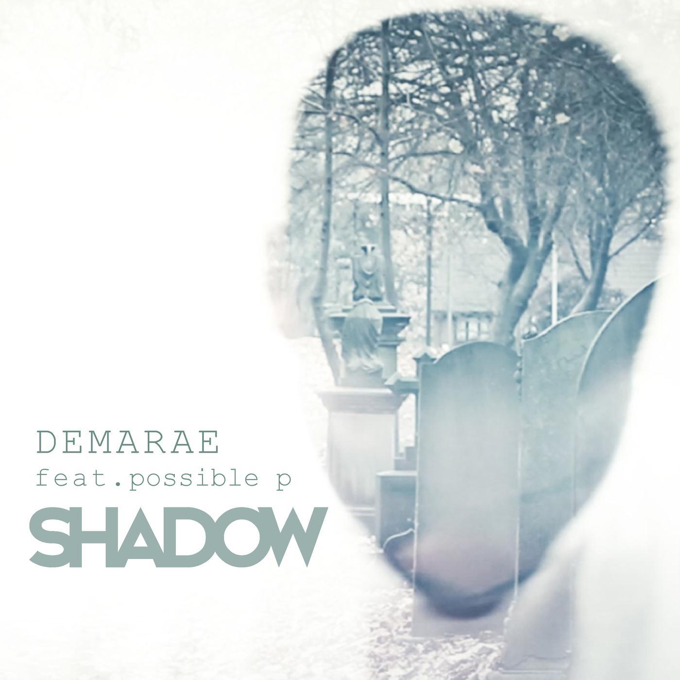 Shadow (feat. Possible P)