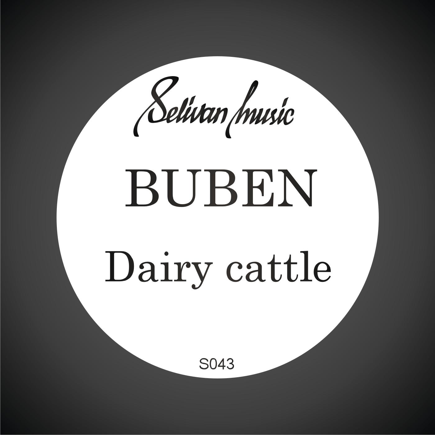 Dairy Cattle