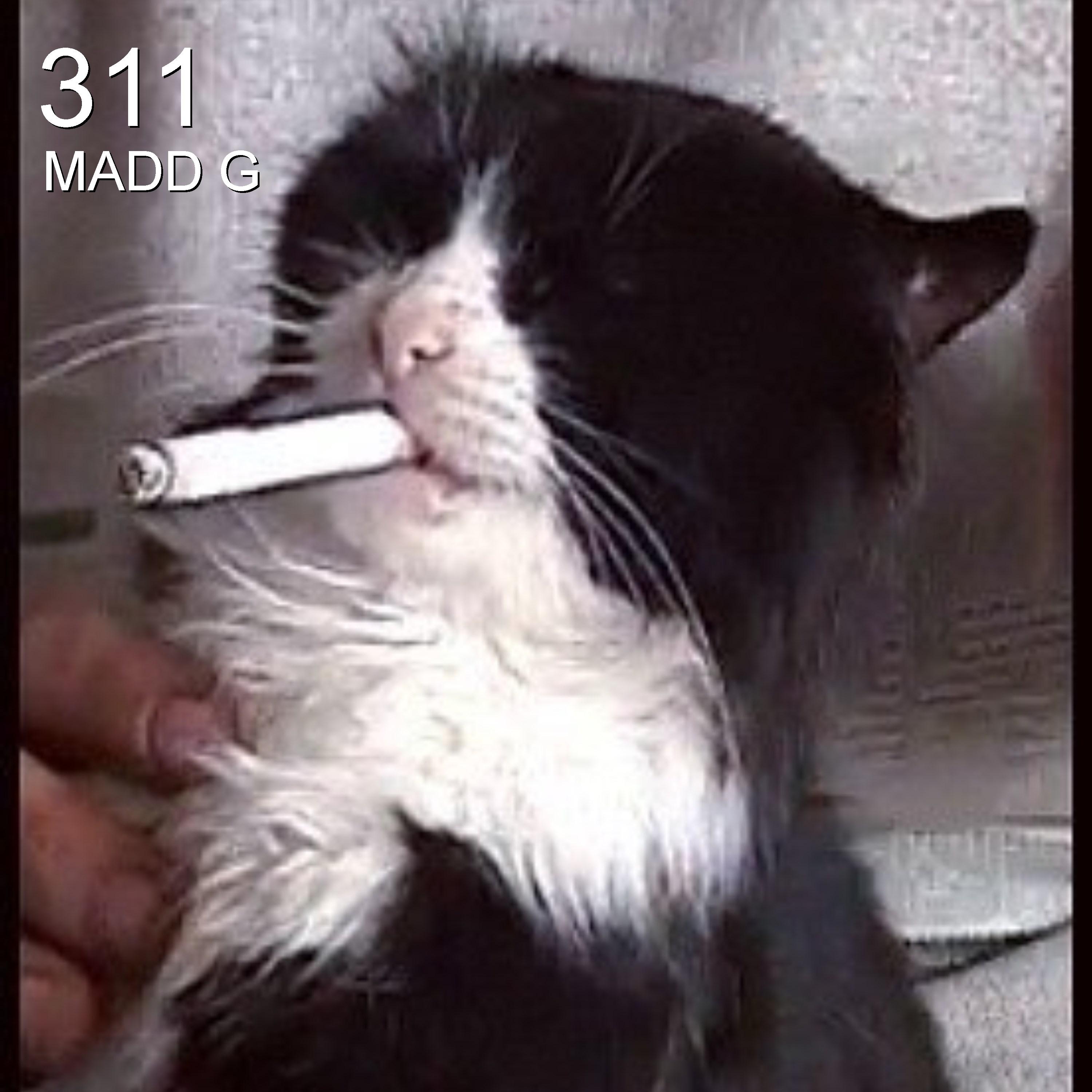 311