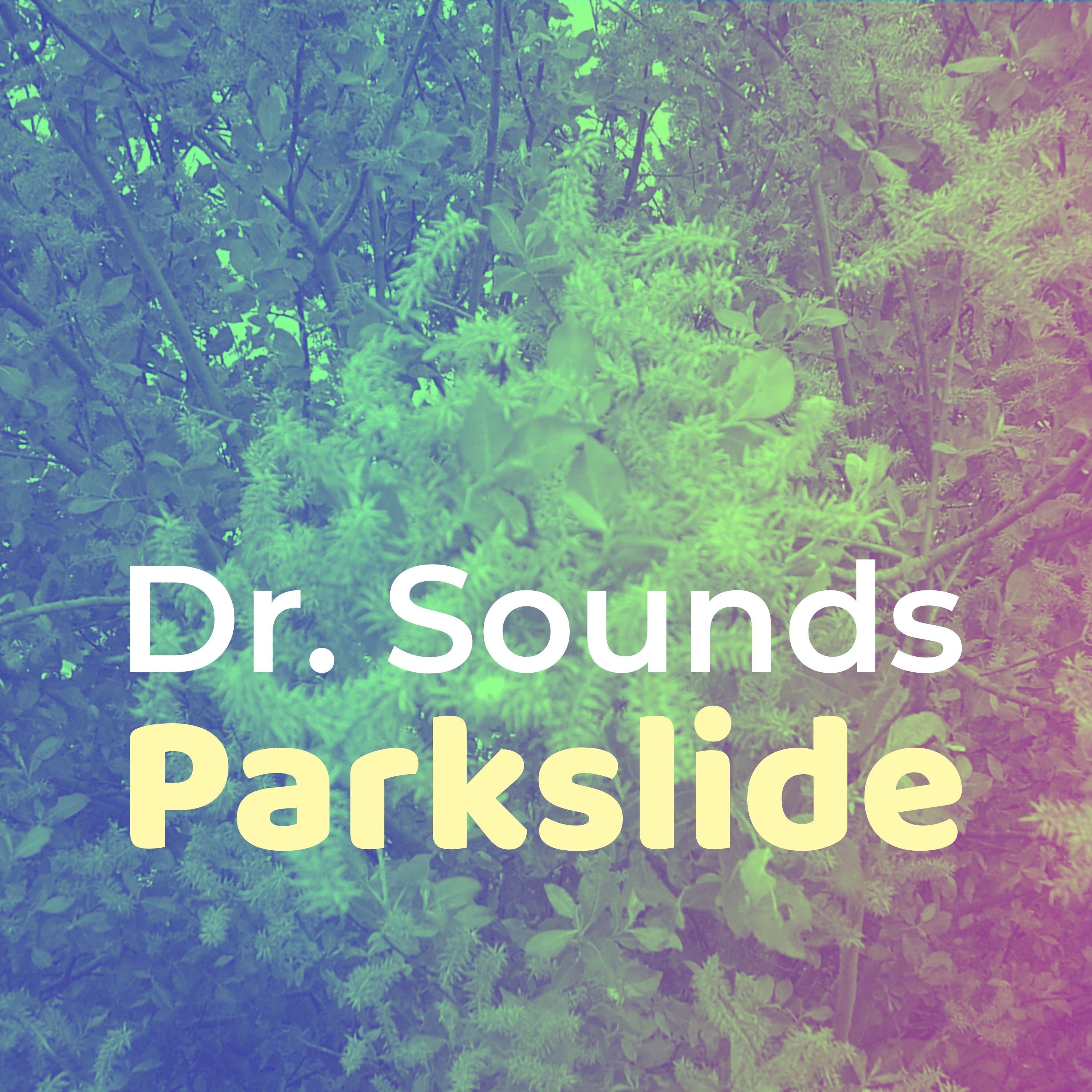 Parkslide