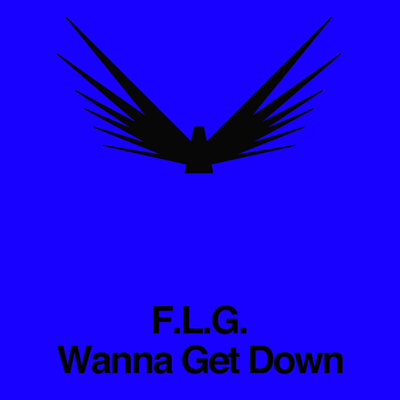 Wanna Get Down